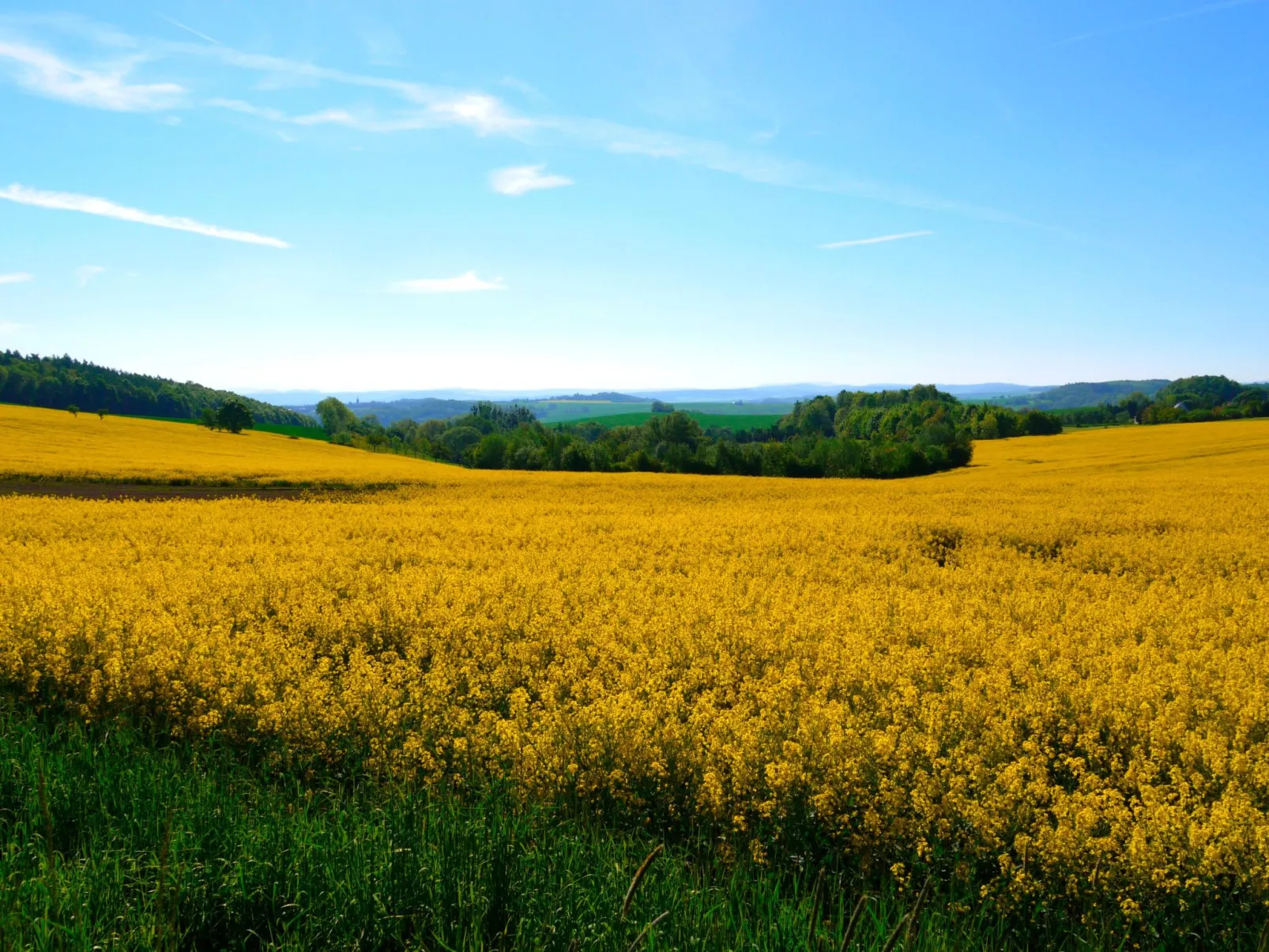 In Maxen mit Privatem Pool-Draußen