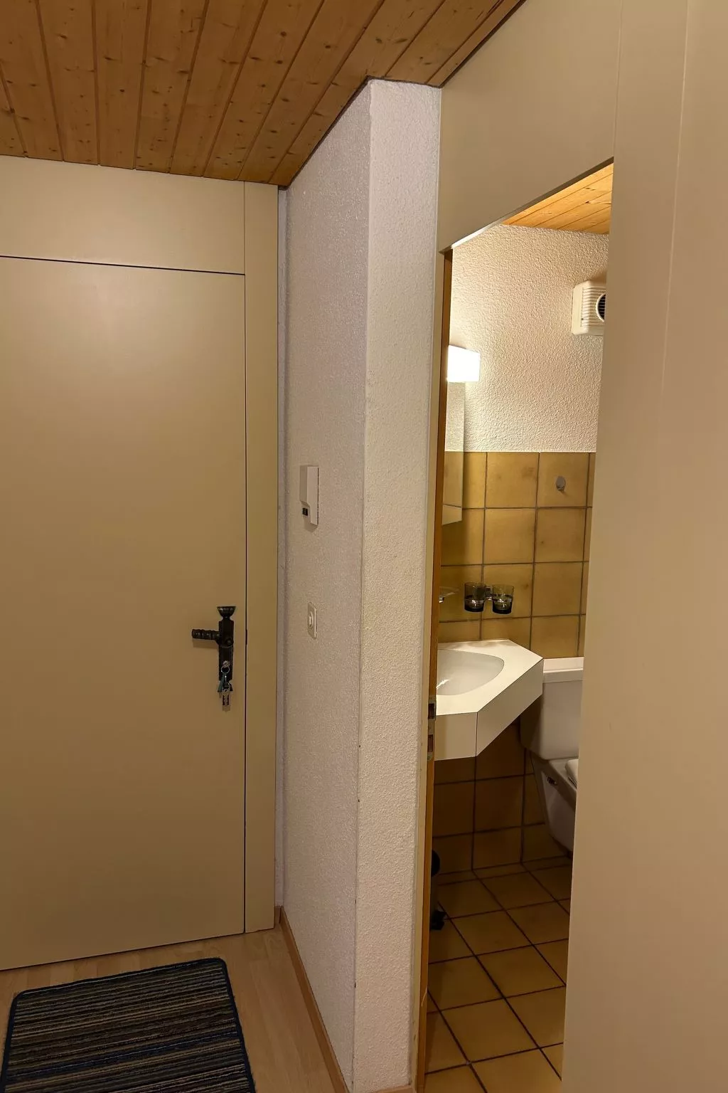 Wohnung Hirschi-Inside