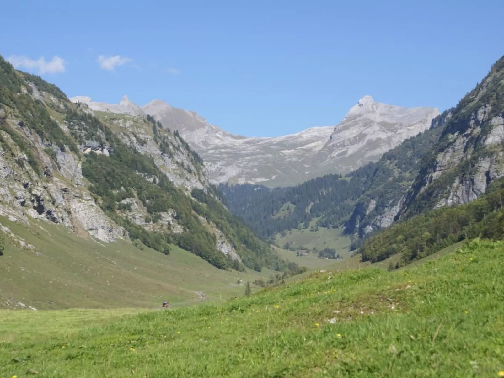 Alphütte Gental - Haslital-Draußen