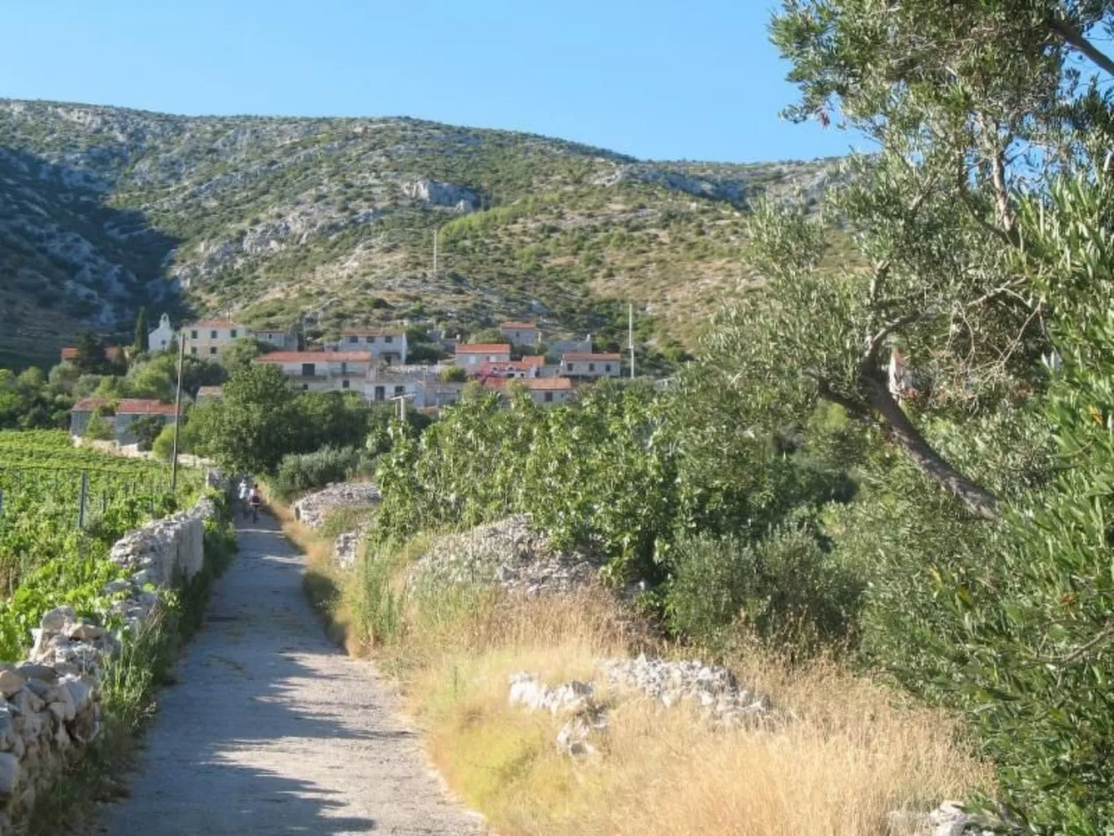 Wohnung in Zavala mit schönem Garten-Outside