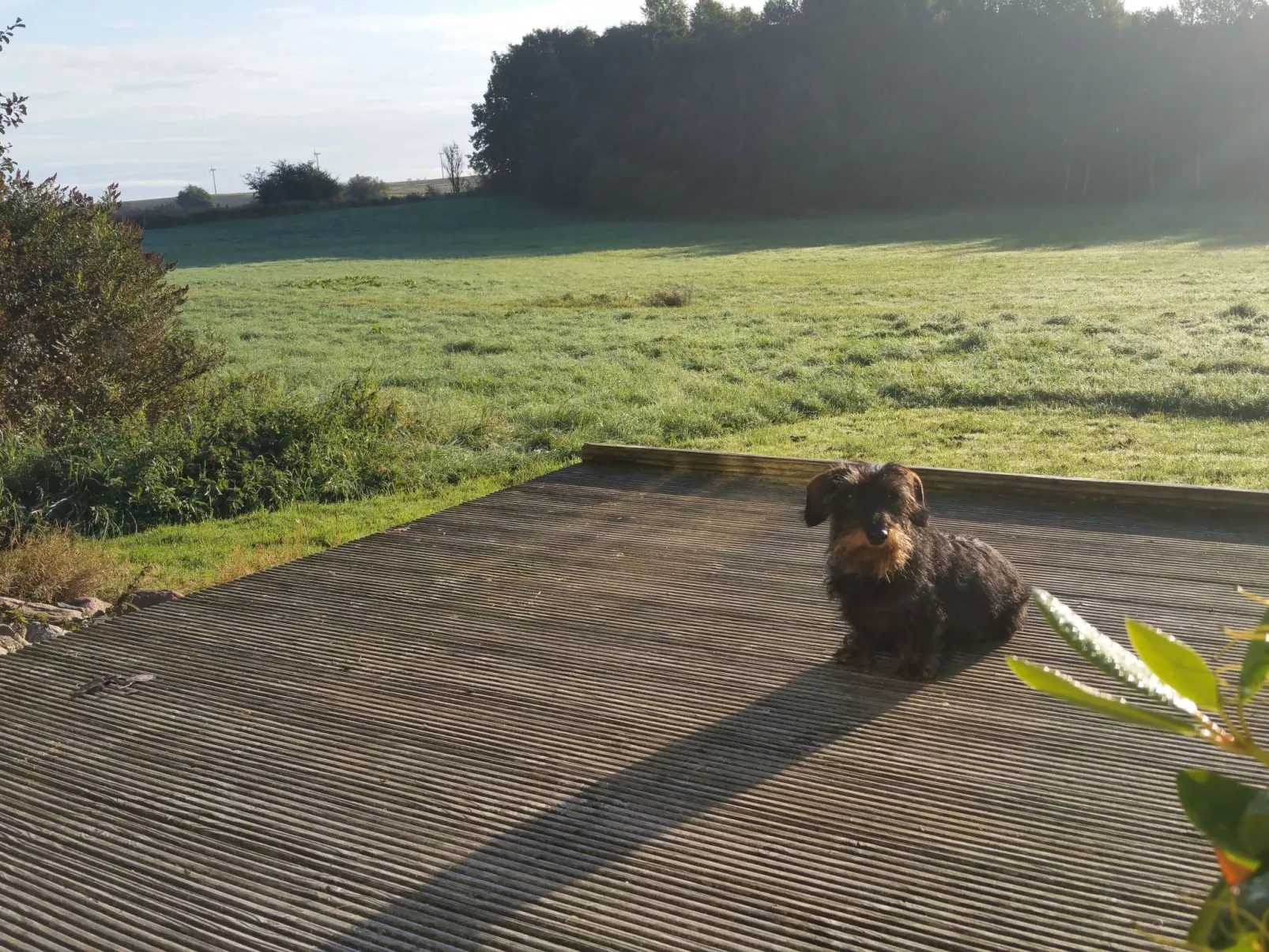 Haus-Zauberblau-Dedans