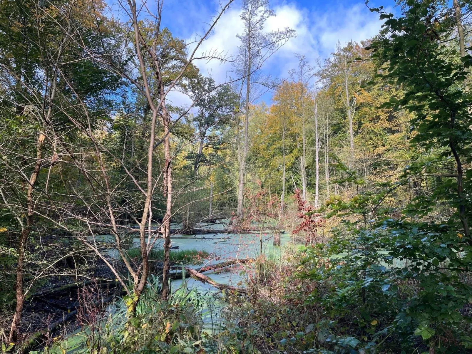 Landurlaub Mecklenburgische Seenplatte b. Waren Müritz-Outside
