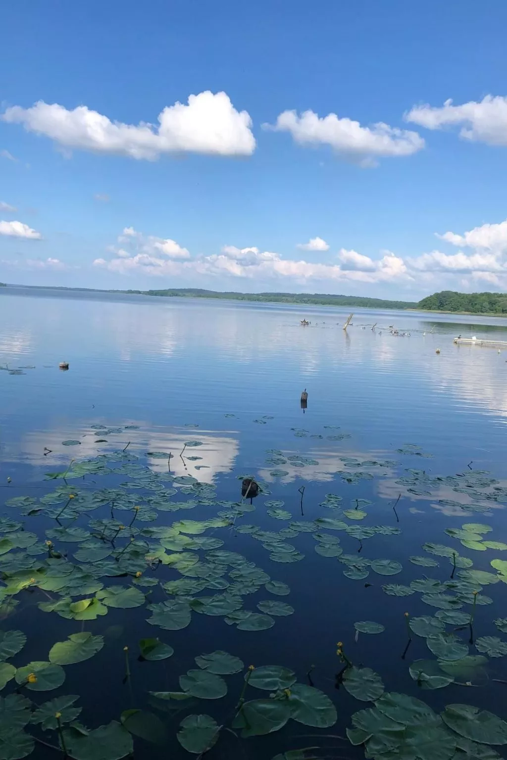 Mit Sauna und Kaminofen-Image-tags.info