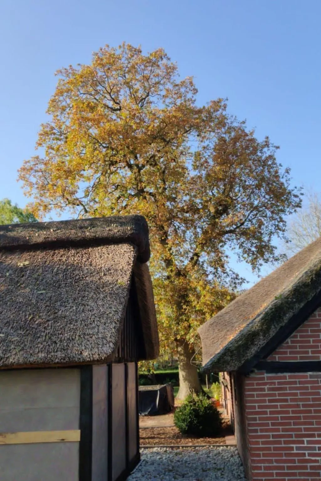 Reethaus Jadebusen-Inside