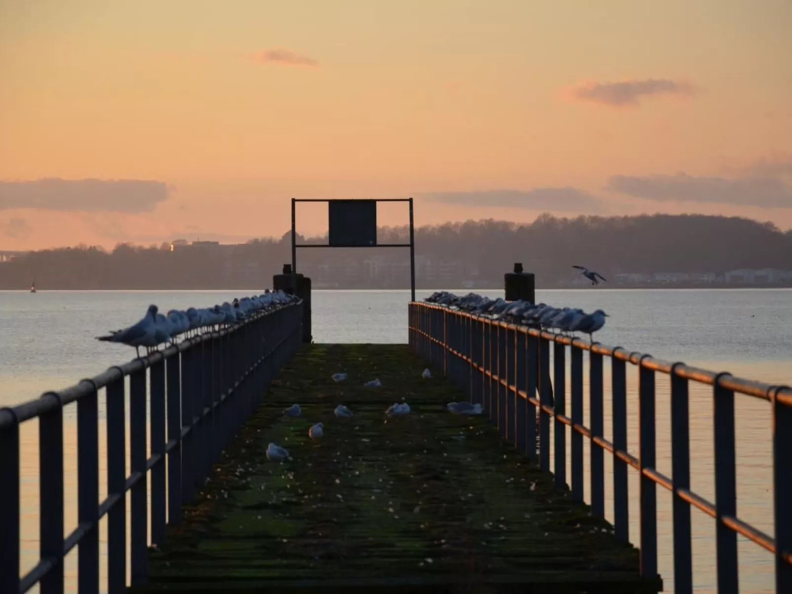 Tolle Wohnung in Krokau-Draußen