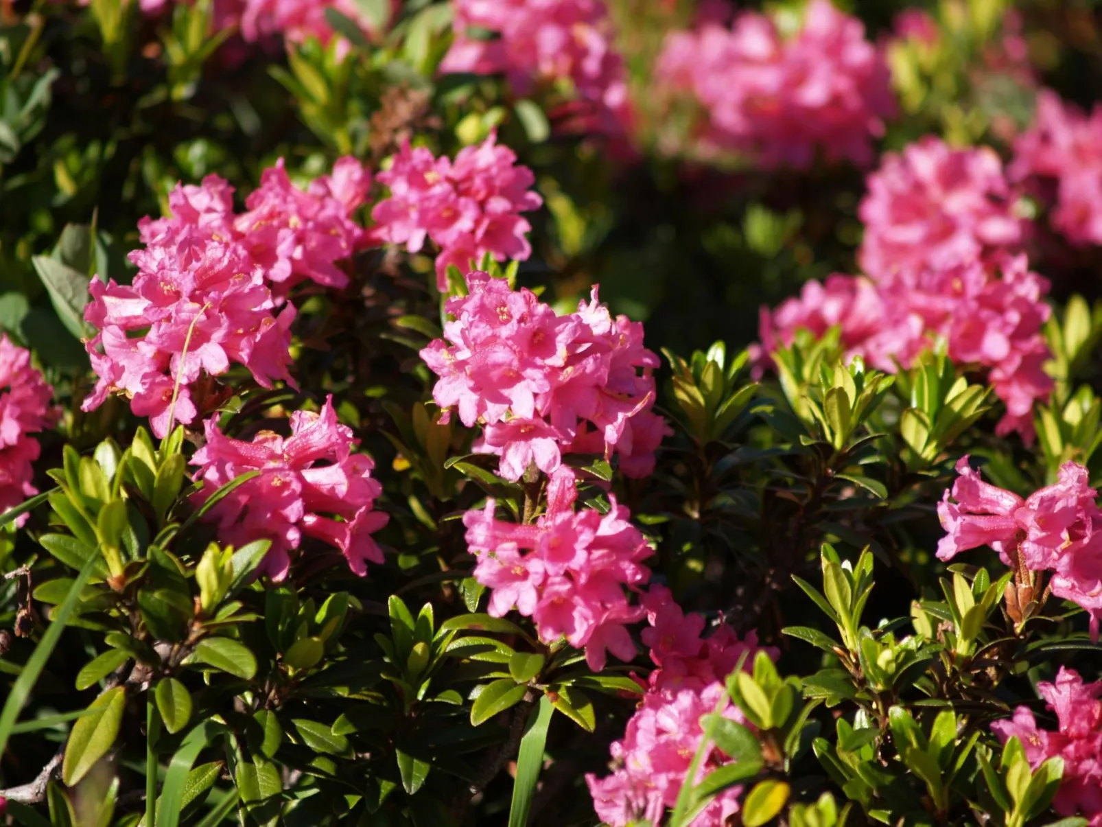 Daniela in Galtür-Outside