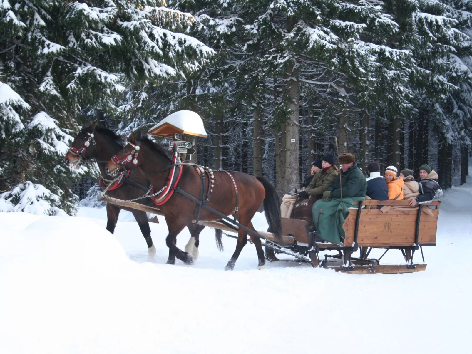 Vogtlandresidenz - Draußen