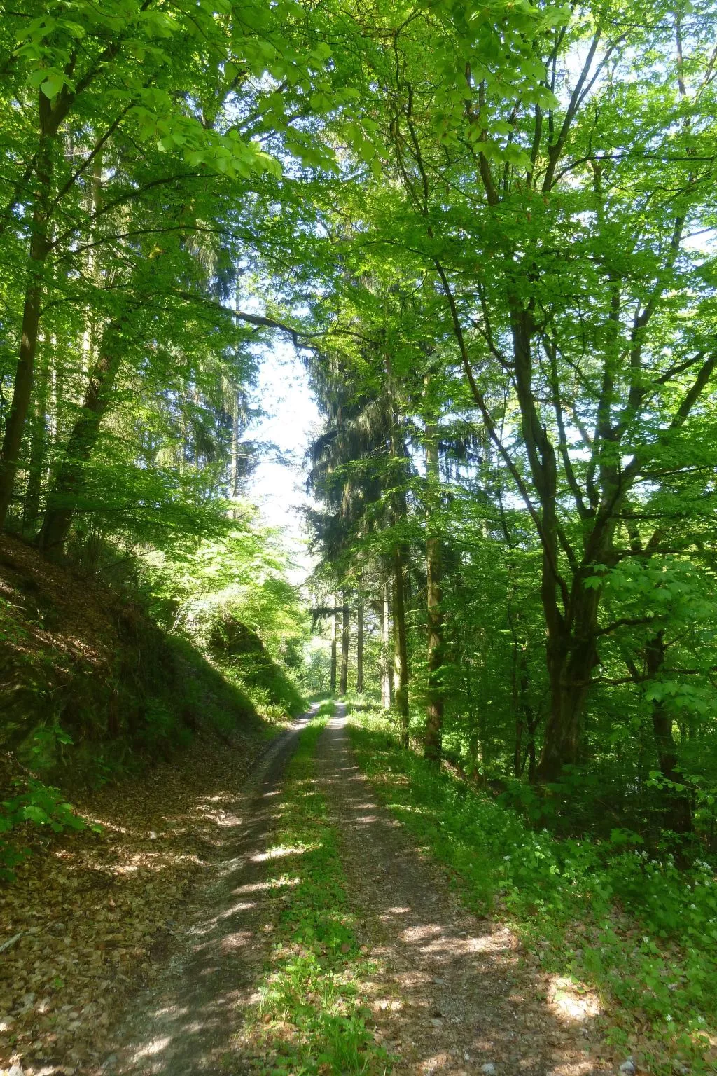 Moselschiefer-Traumferienwohnung am Moselufer-Outside