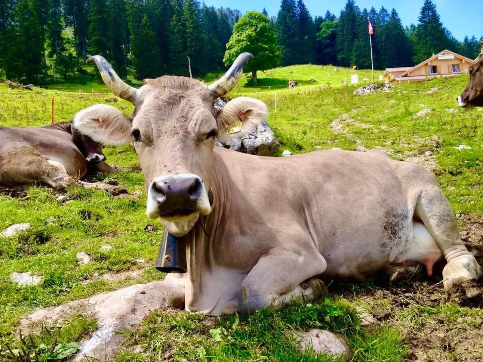 Brunni-Alpthal direkt an den Mythen-Bergen-Outside