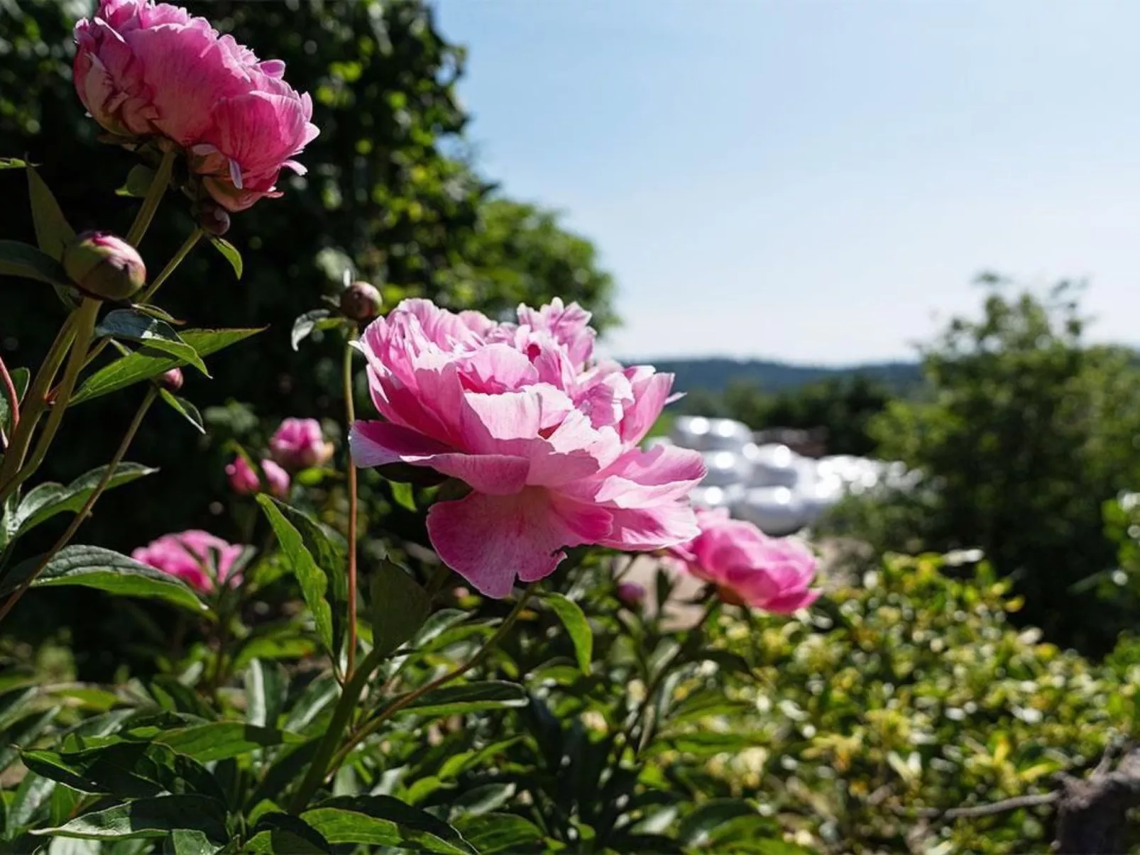 Eggenhof Ferien-Dehors
