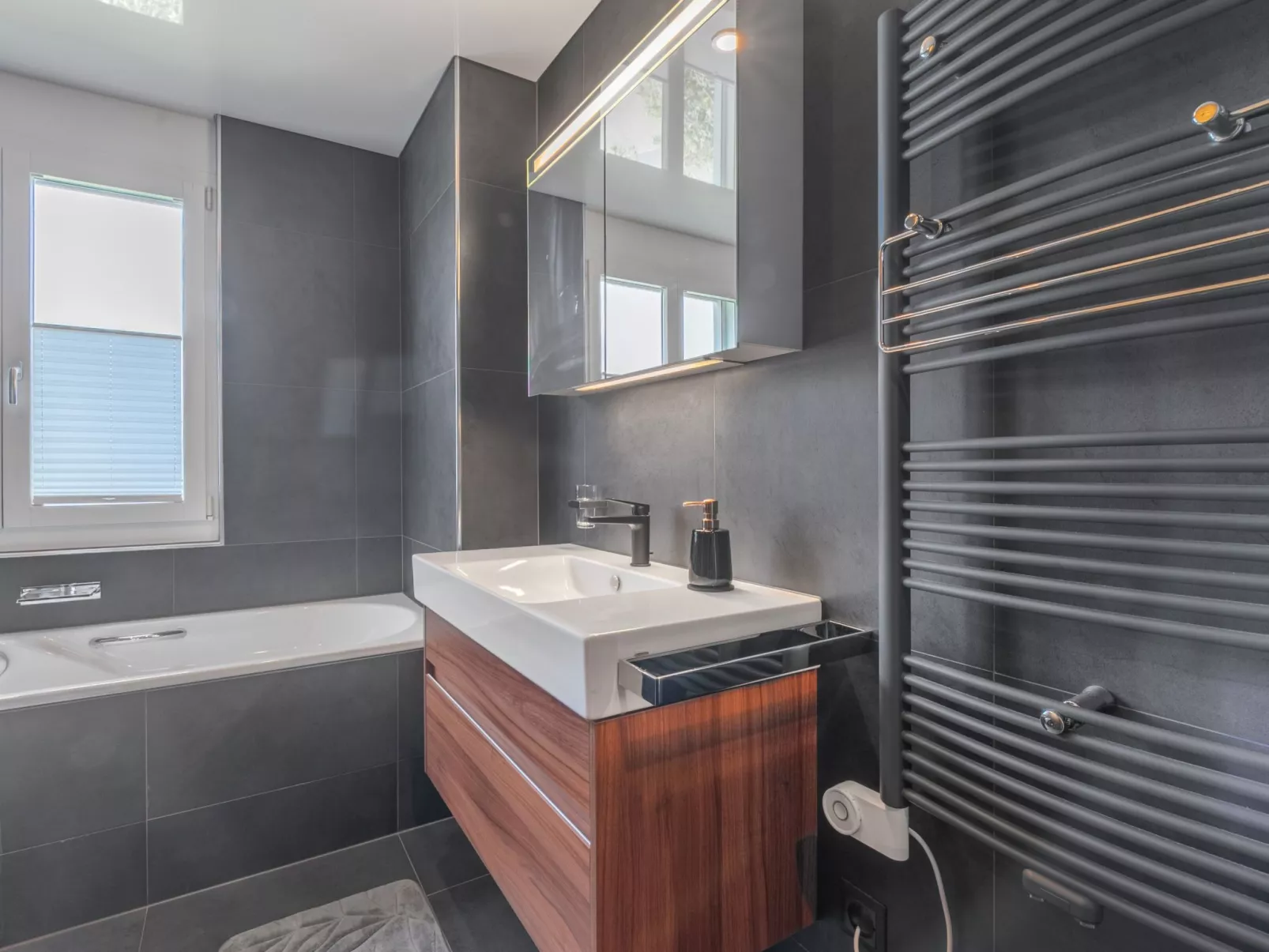 Vierwaldstättersee Panorama-Dedans