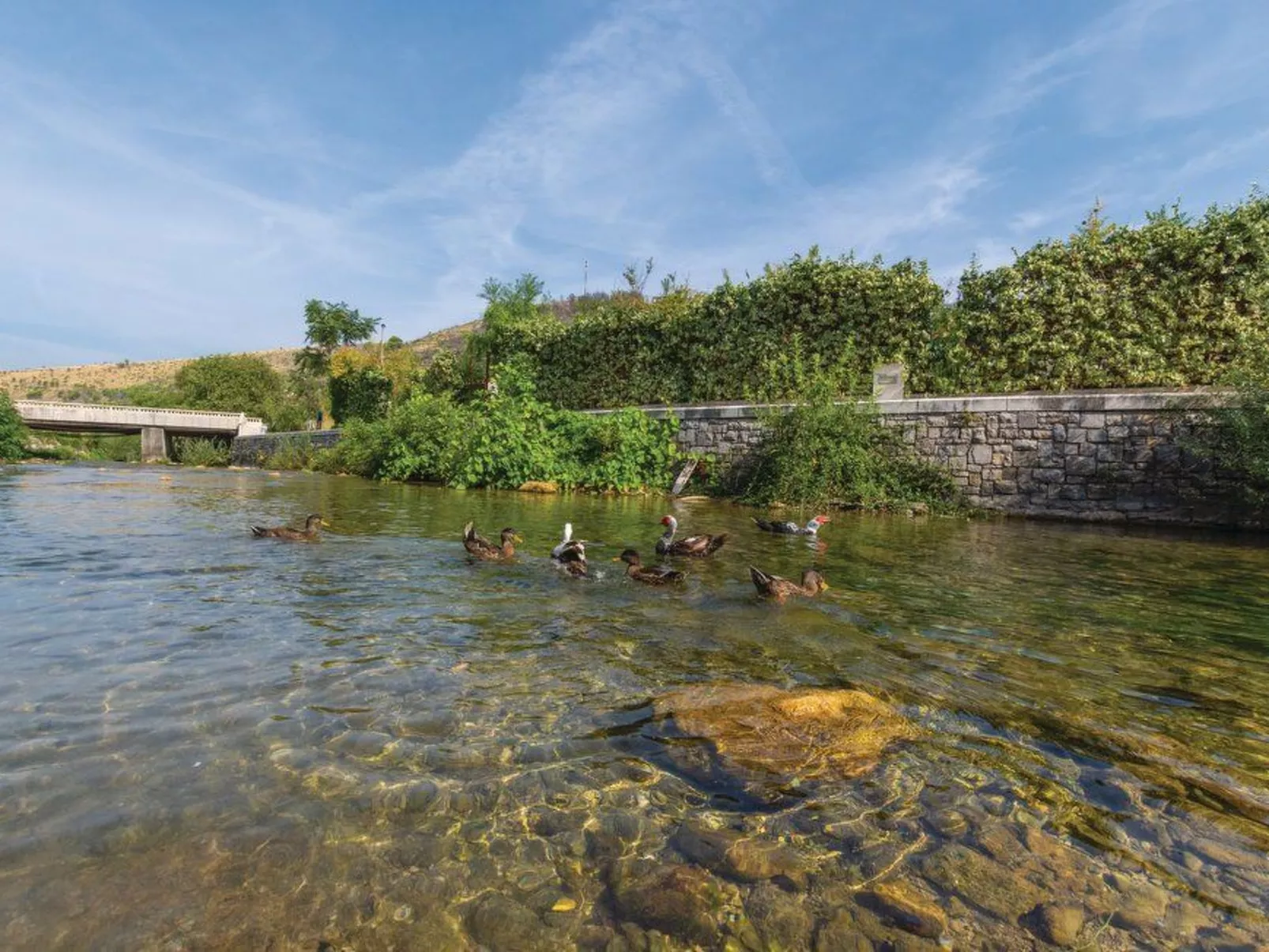 Žrnovnica, Entspannung am Flussufer-Image-tags.info