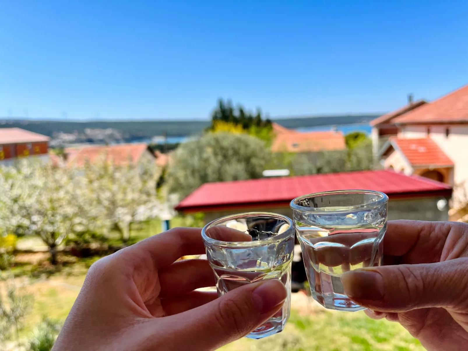 Neugebaute Wohnung im Erdgeschoss-Image-tags.info