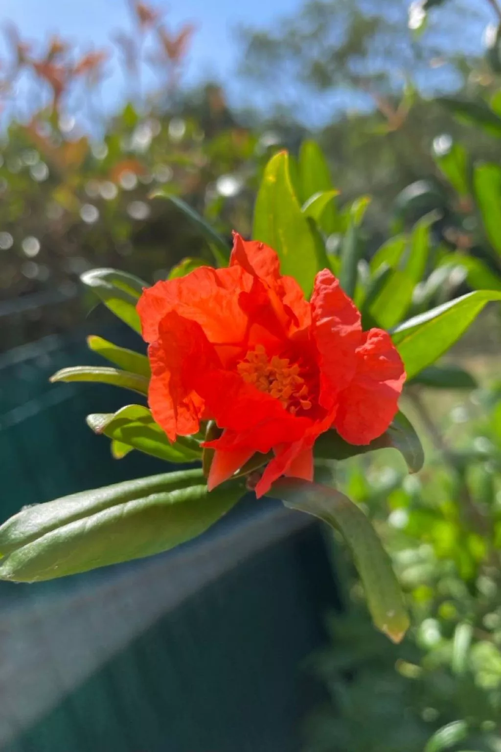 Neues Ferienhaus in Krnica mit Privatem Pool-Dehors