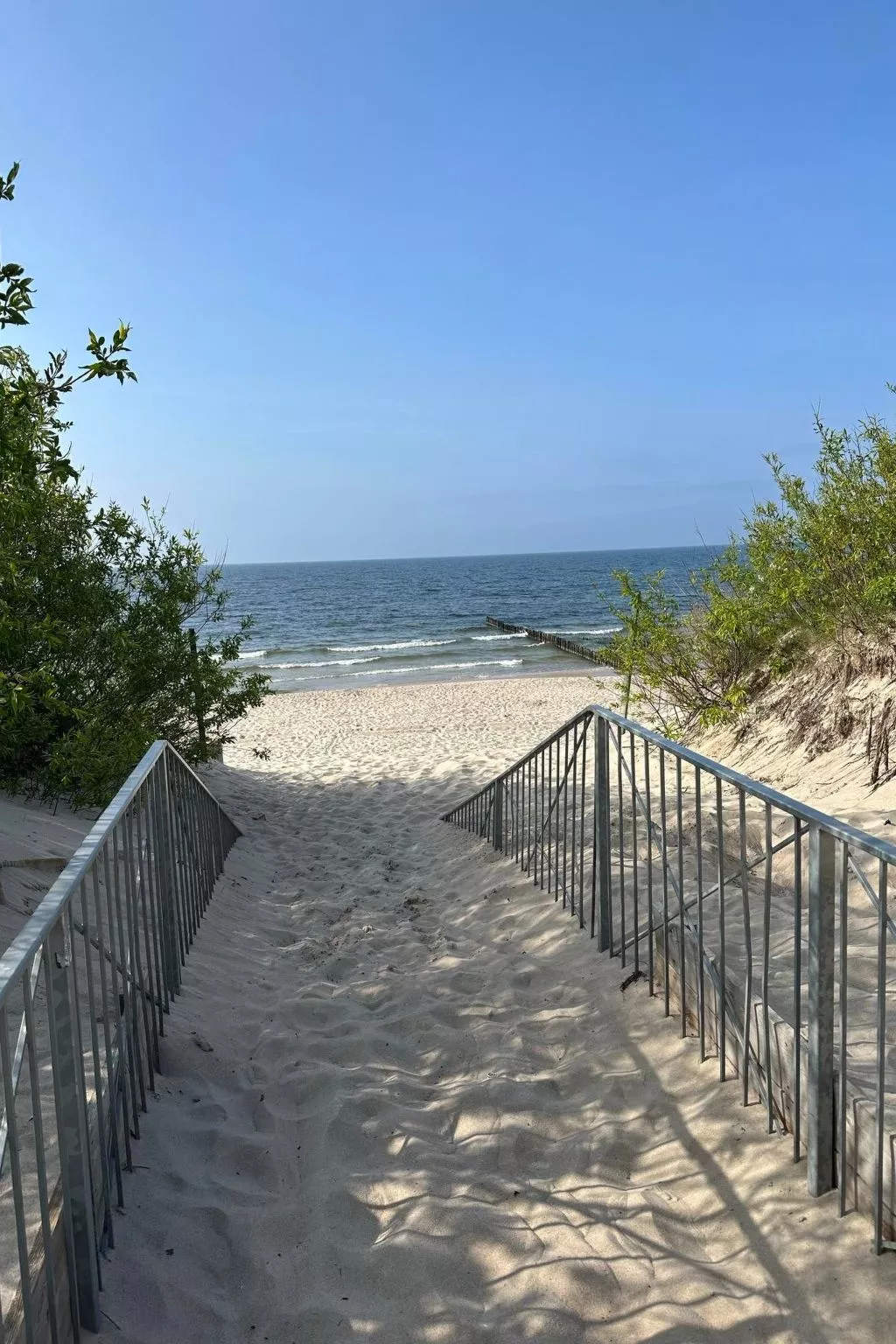 Bernstein-Image-tags.info