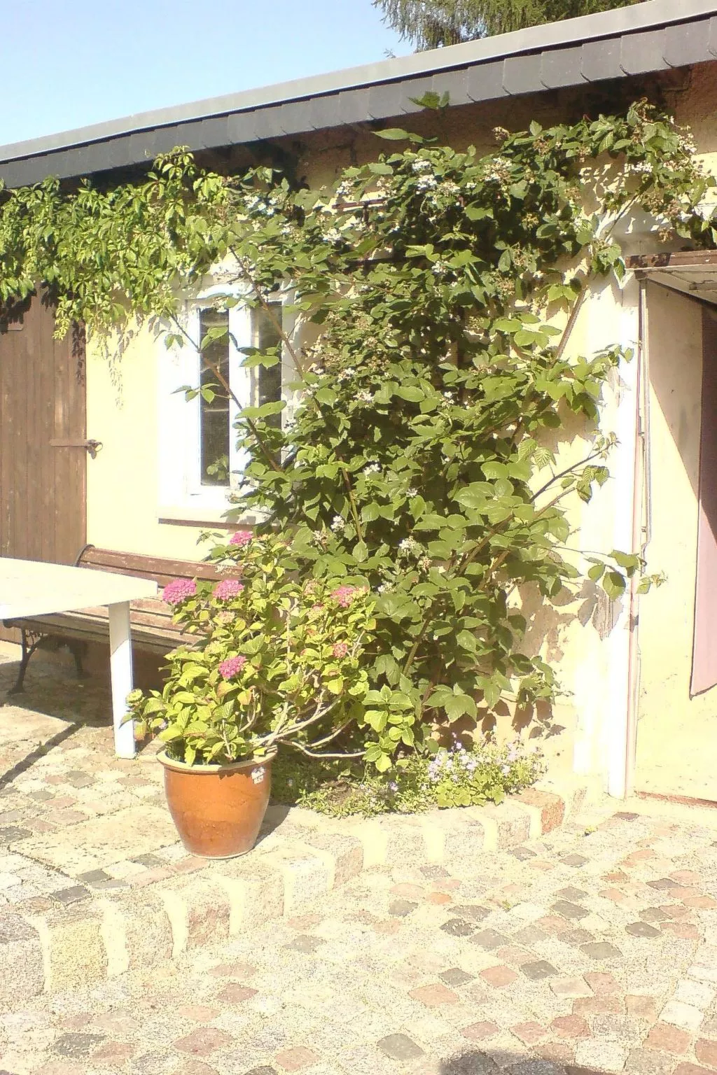 Bürkner-Image-tags.info