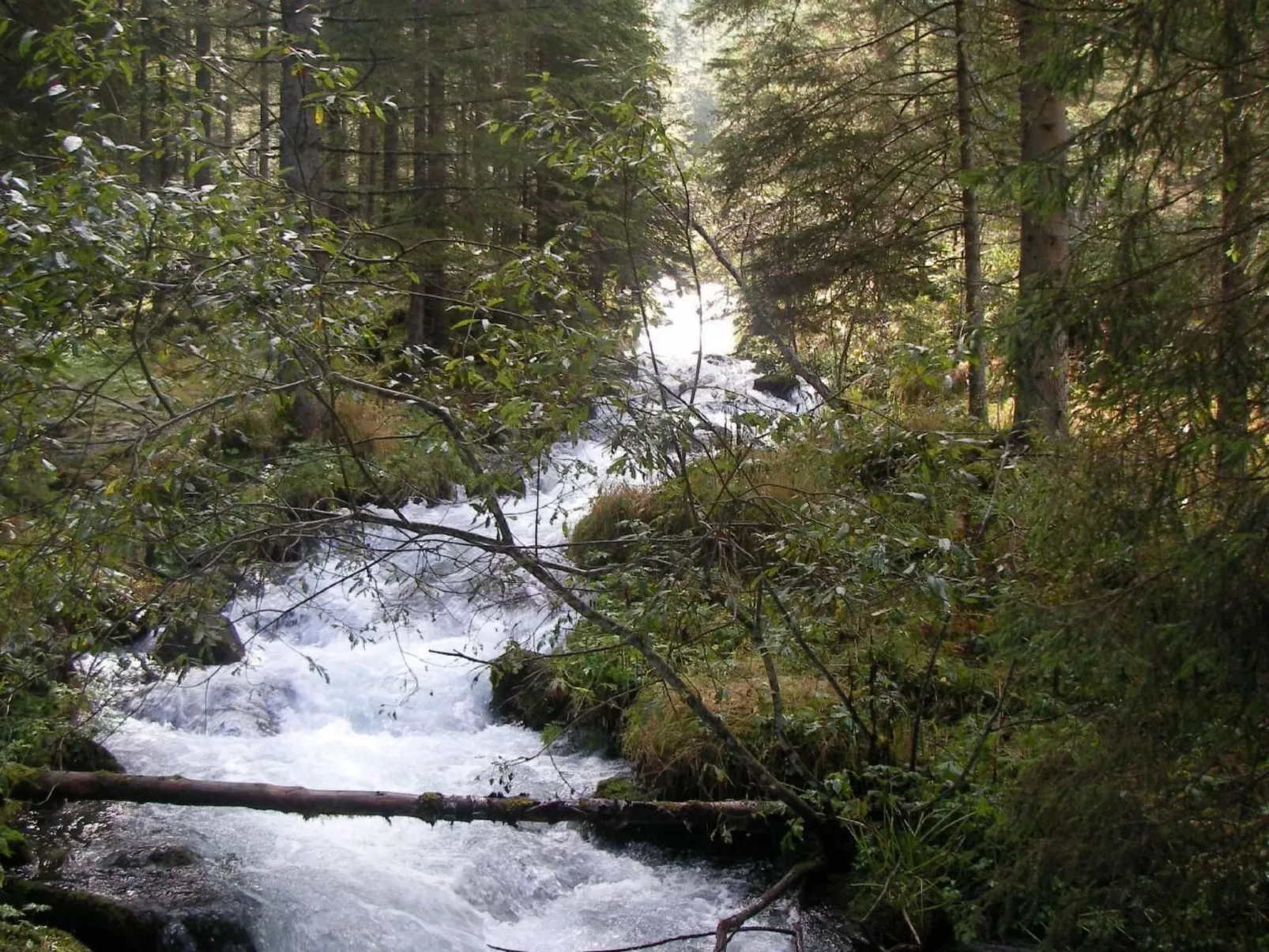 Haus "Hermann"-Outside