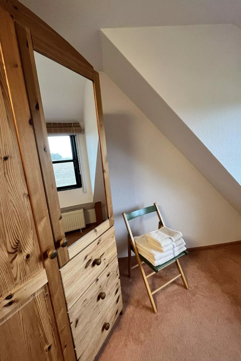 Möwe in Ummanz-Lüßvitz-Dedans