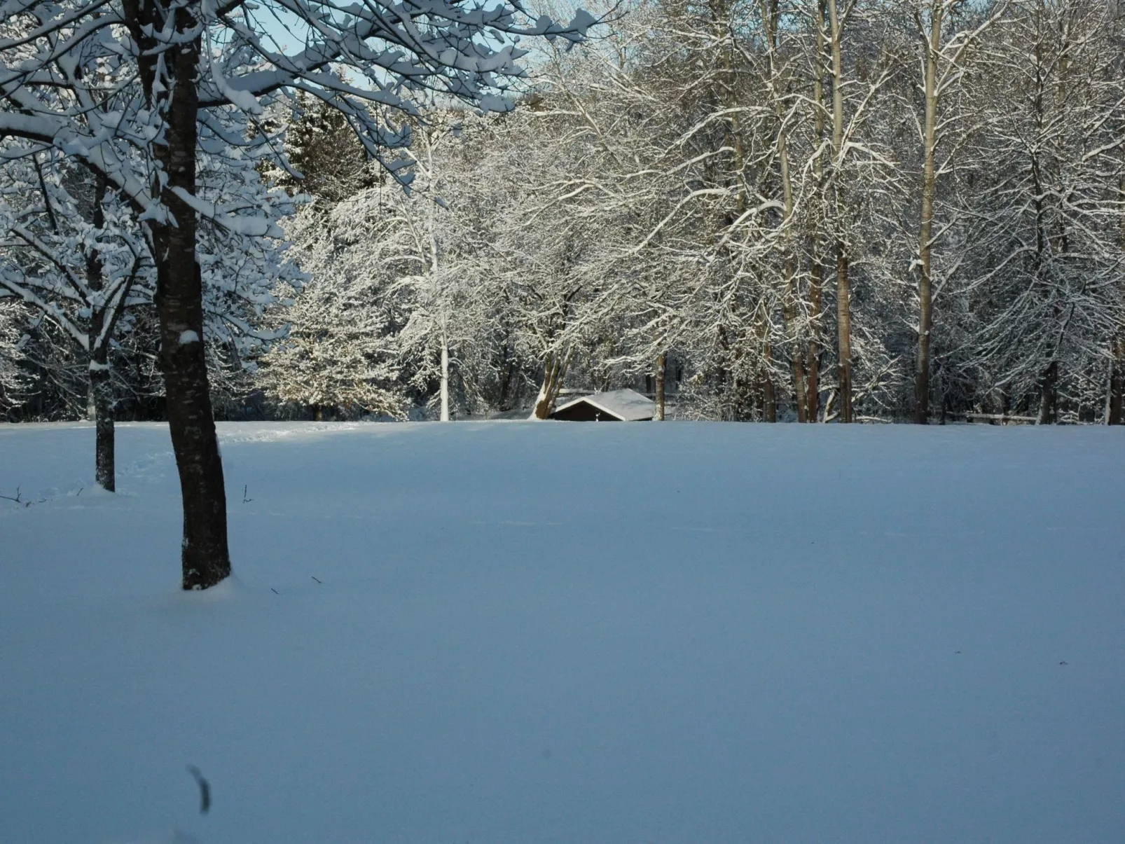 Vanessa-Image-tags.info