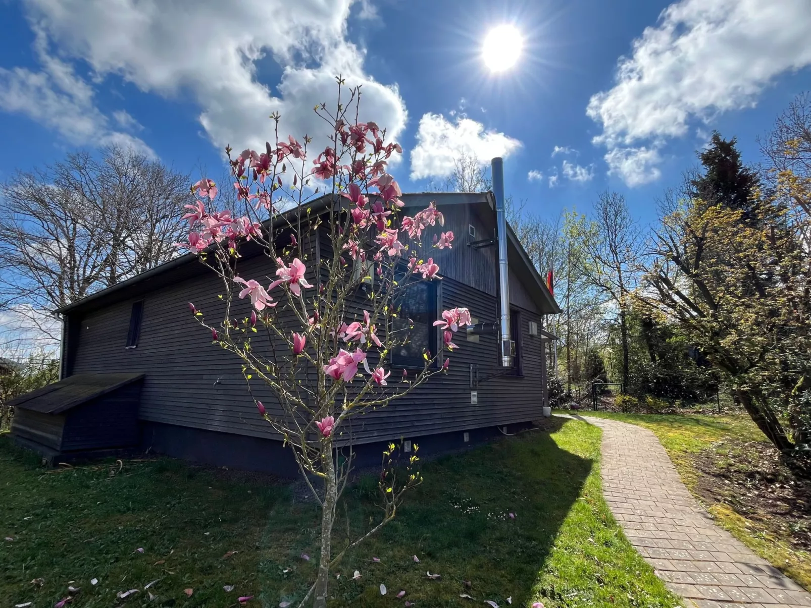 Waldblick in Vöhl-Basdorf-Draußen