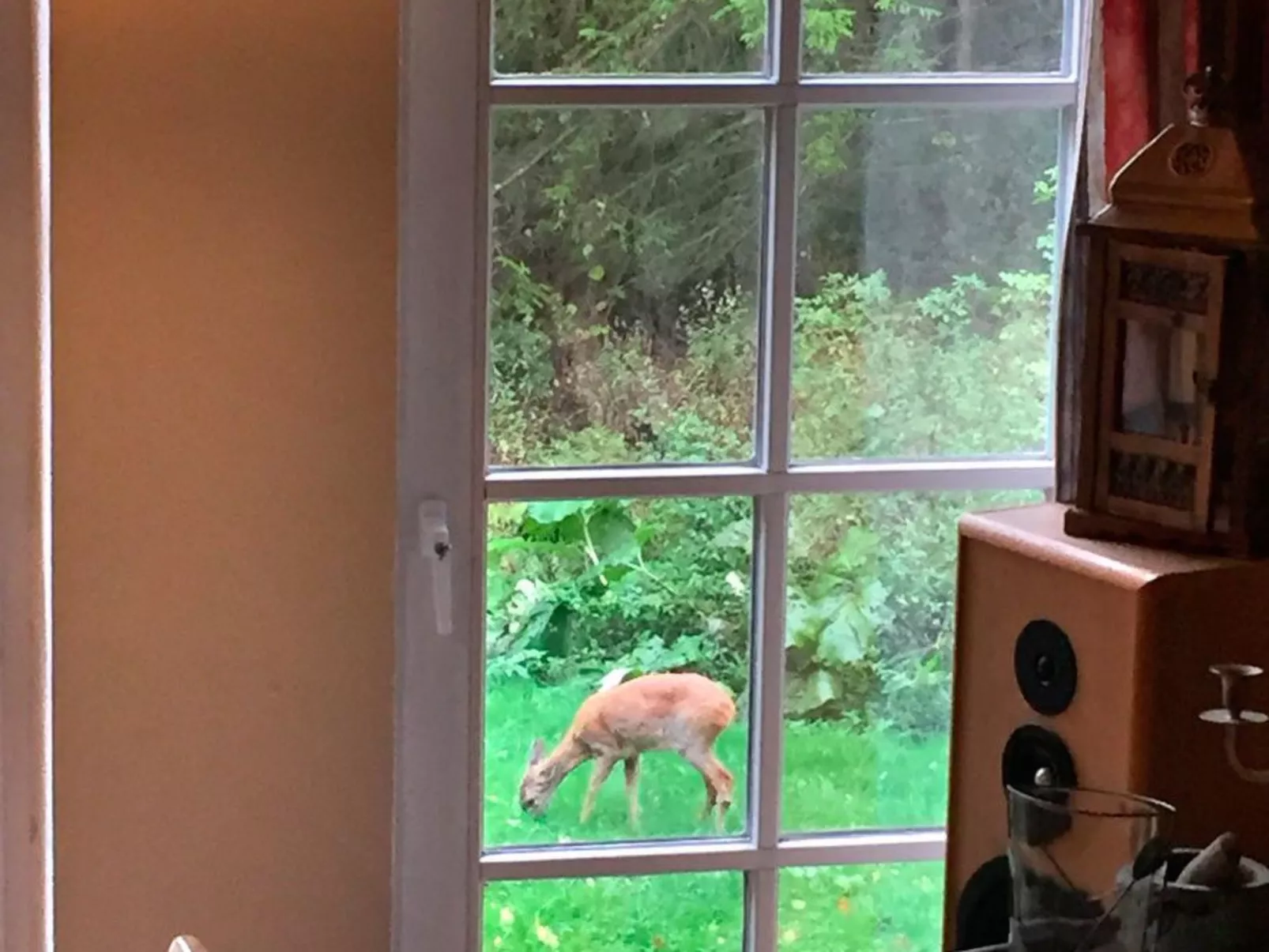 Fachwerkhaus mit Garten, Grill und Terrasse-Image-tags.info