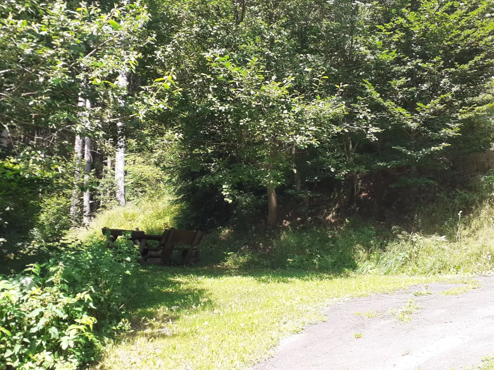 Für 6 Personen im Thüringer Wald-Draußen