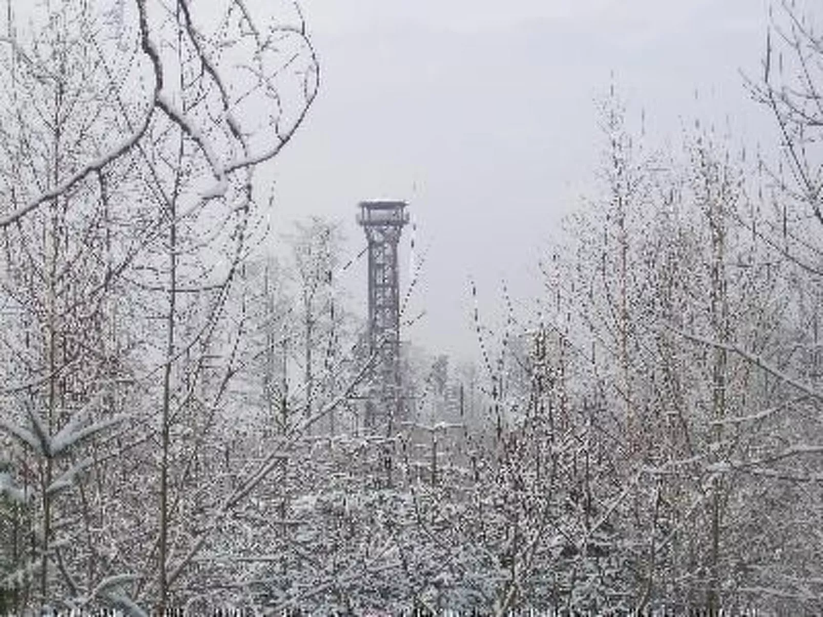 Nur-Dach-Ferienhaus für vier Personen-Inside