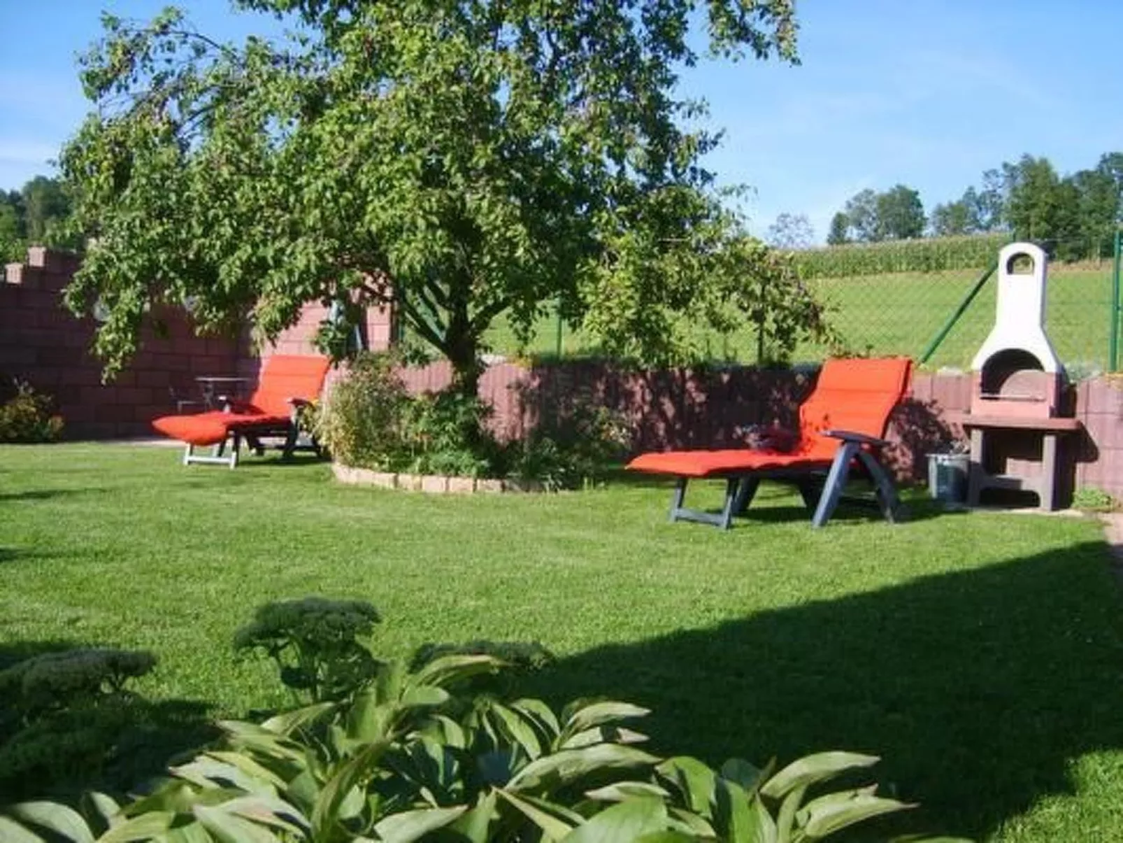 Baumann-Image-tags.info