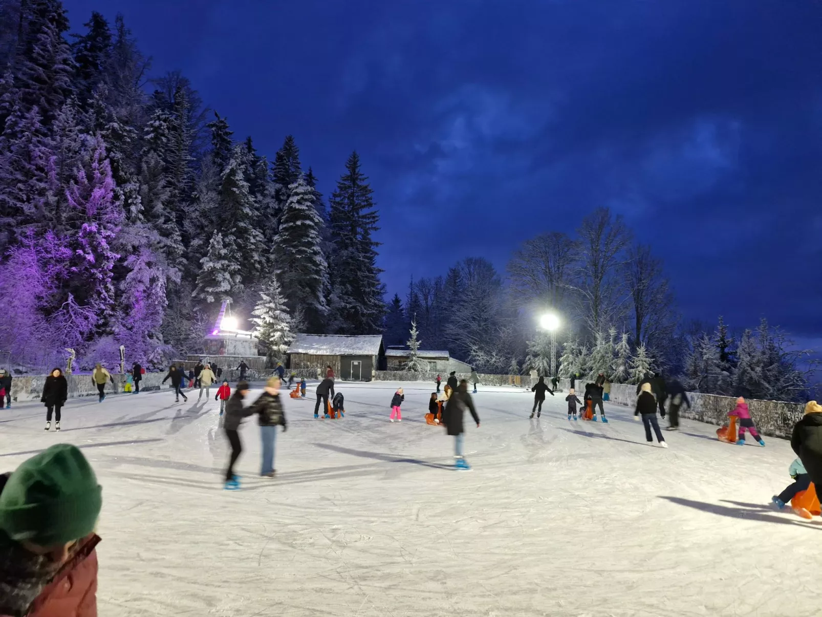 Schwarzwald Königin-Dehors