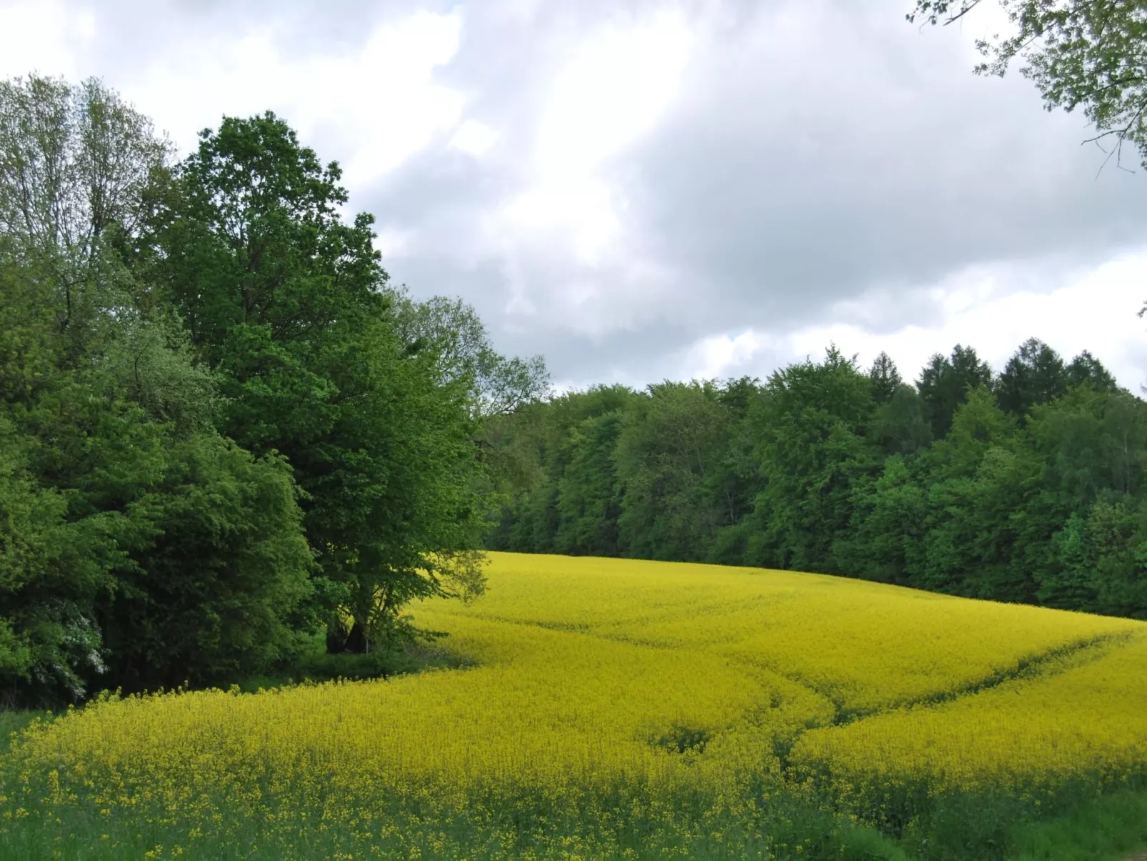 Fewo Stricker 22-Draußen