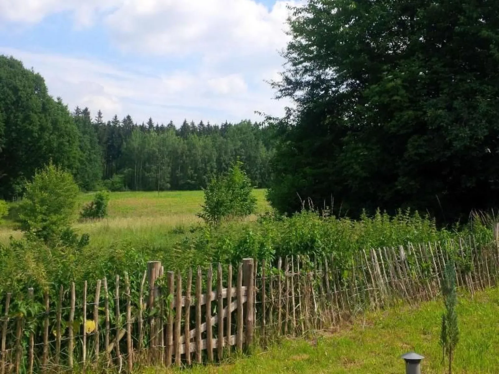 Nasze Chabazie-Dehors