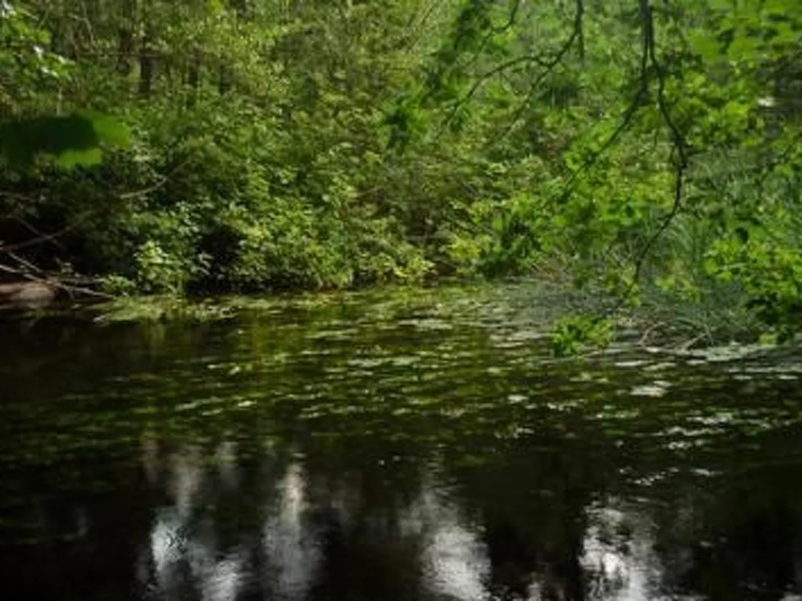 Turmwohnung-Image-tags.info