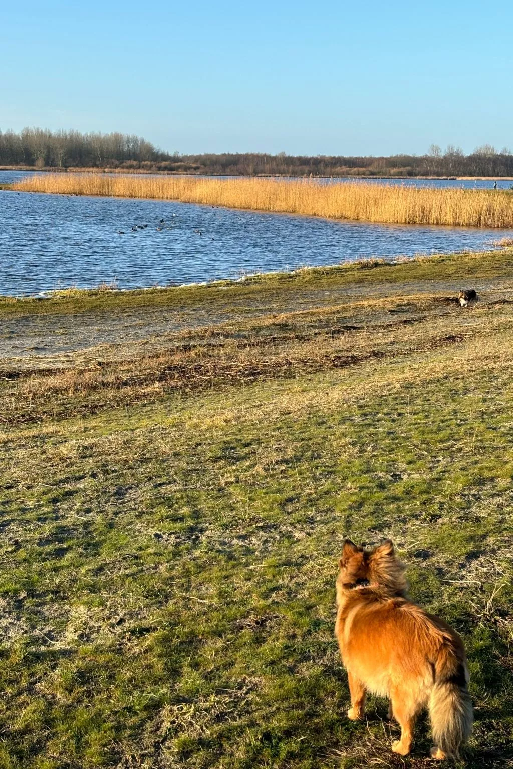 Chalet in Strandnähe-Draußen