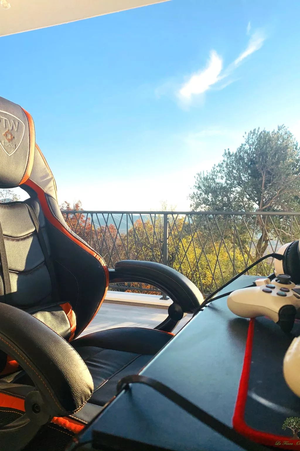 La Finca OliveTree-Outside