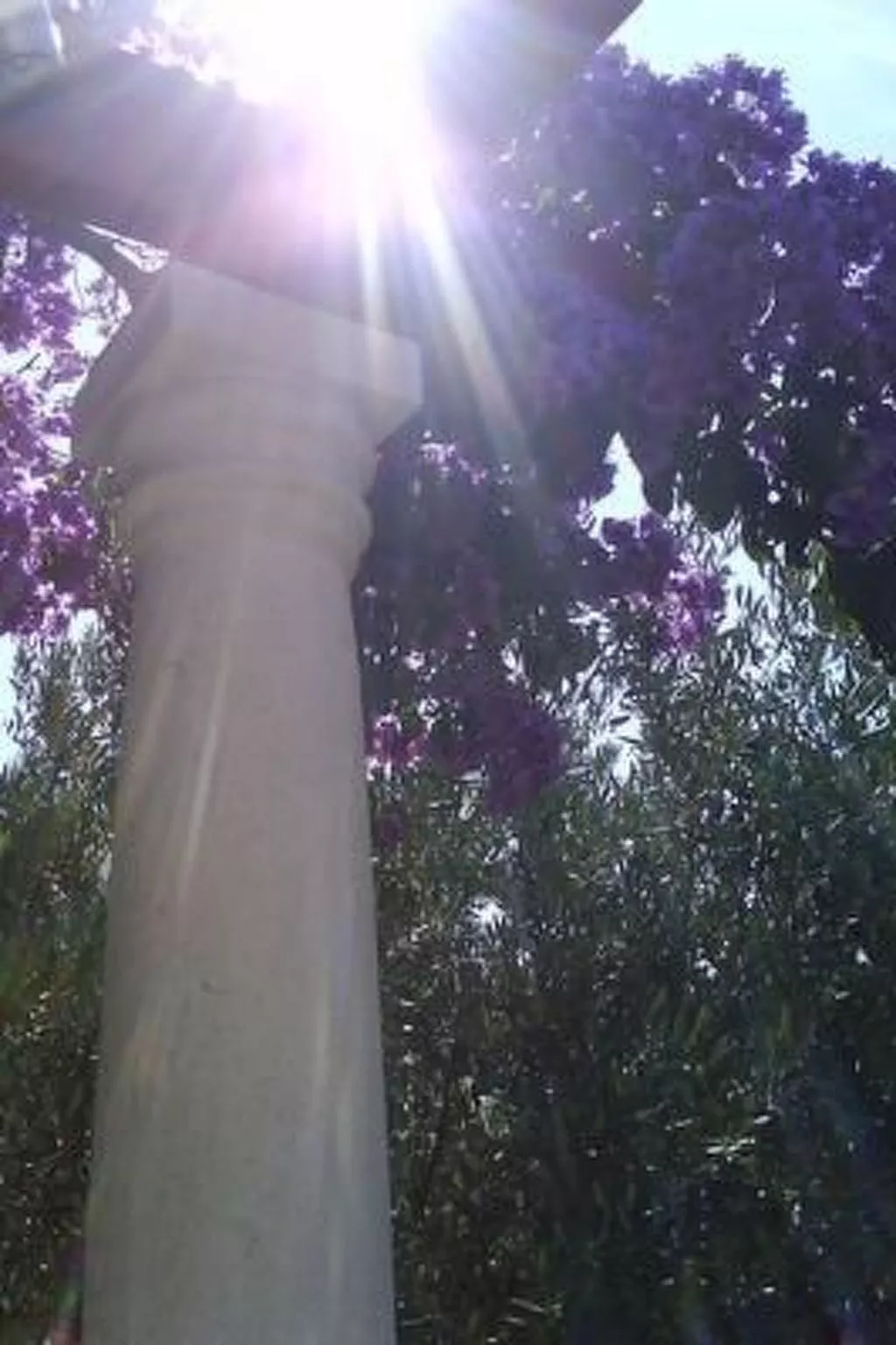 Mit Garten, Grill und Terrasse-Draußen