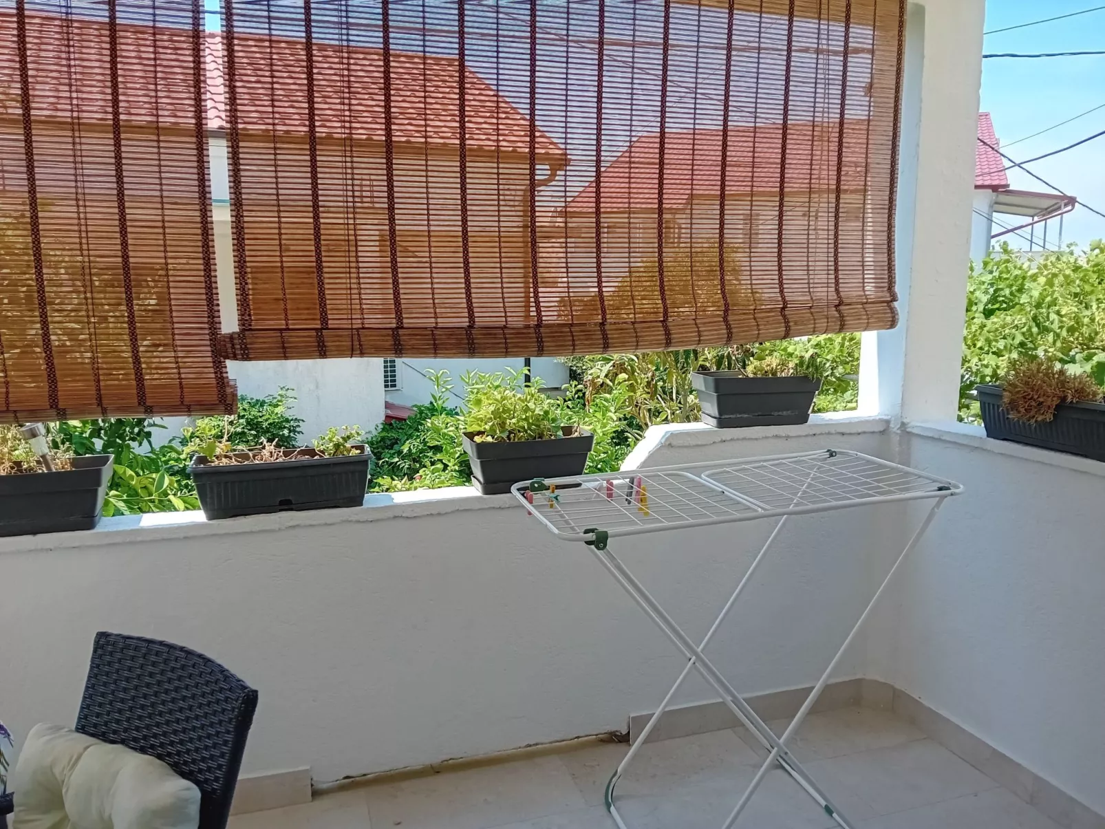 Delfa Pećarina-Inside