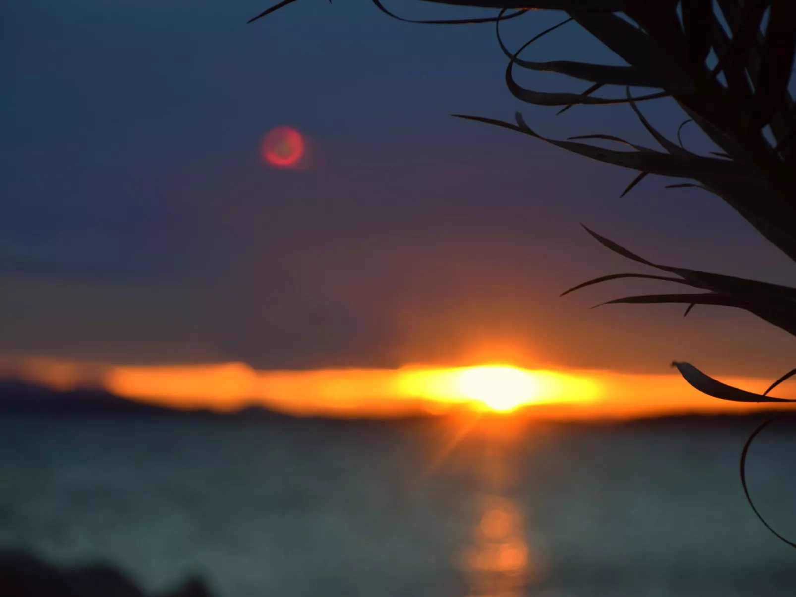 In Dobropoljana mit Privatem Pool-Inside