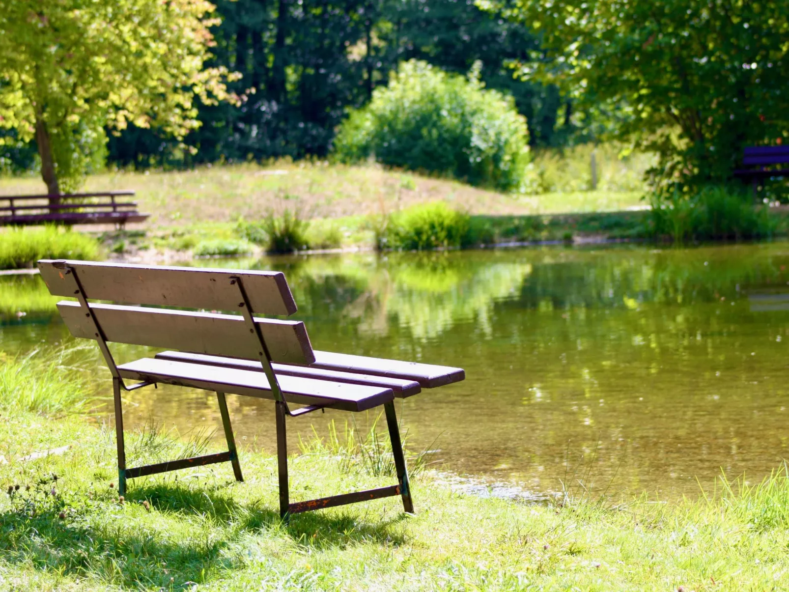 Am Wald gelegenes Ferienhaus "Wolf" mit Kamin-Outside