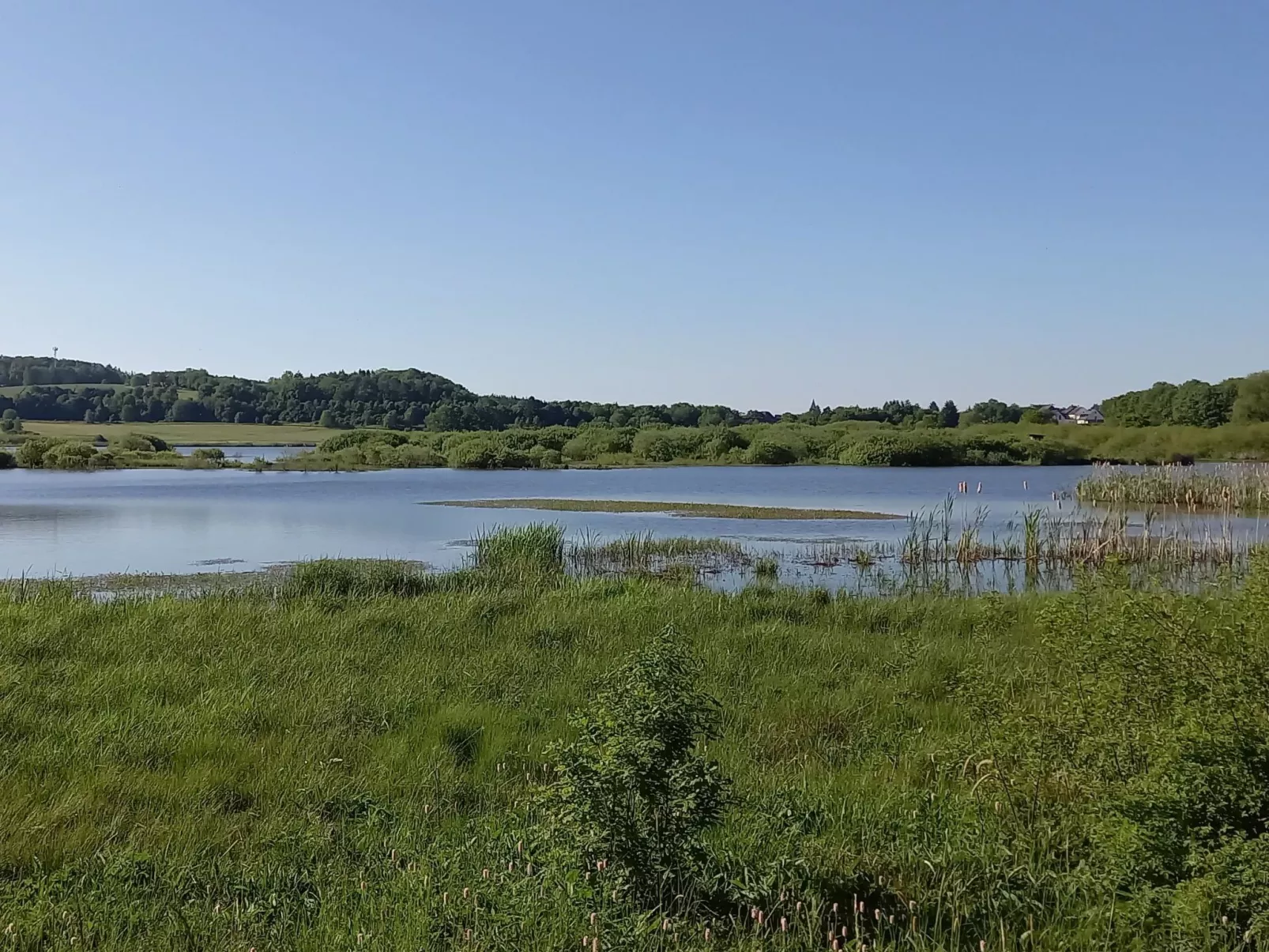 In der Vulkaneifel-Outside