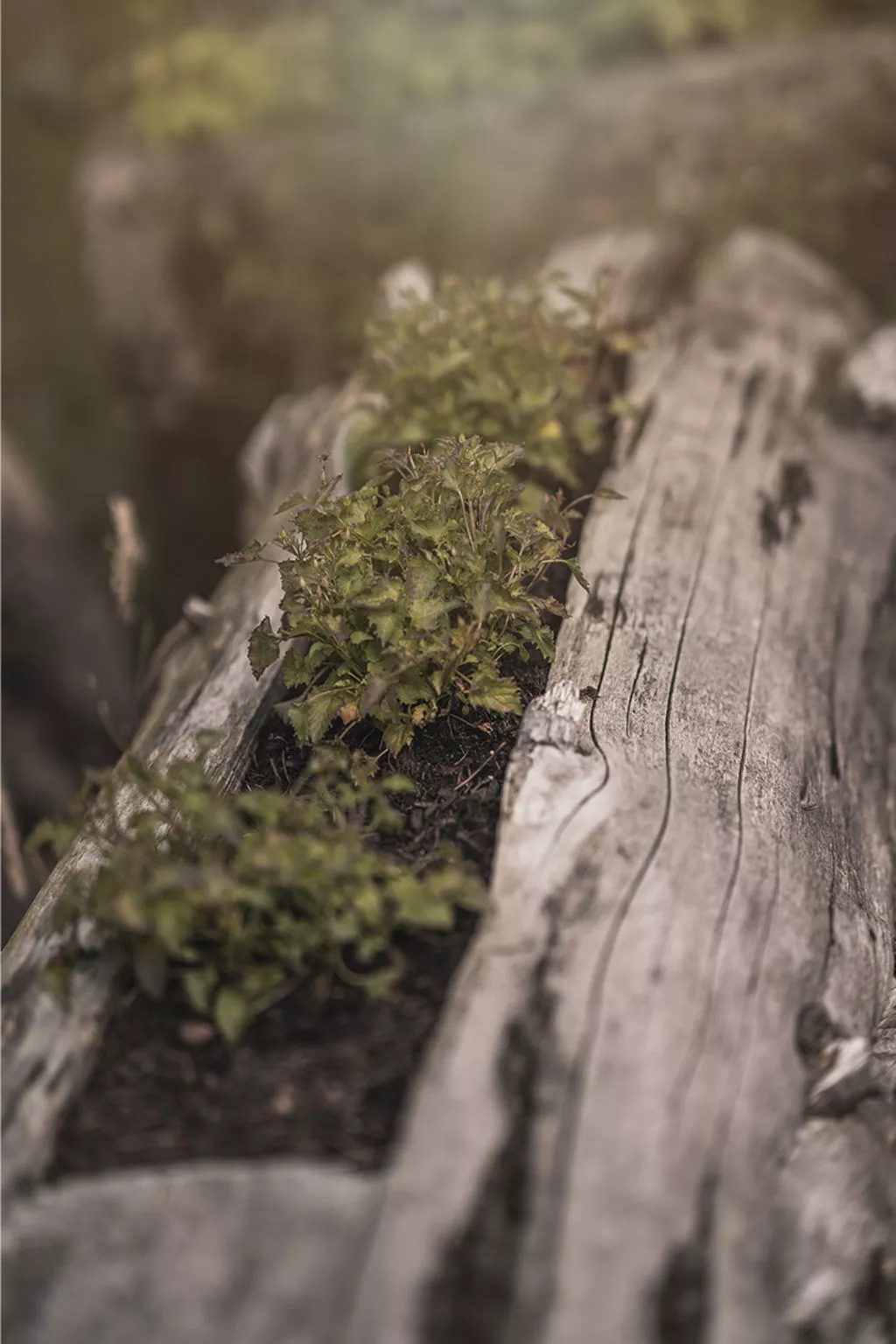 Haus für 22 Personen mit Außensauna und HotTub-Image-tags.info