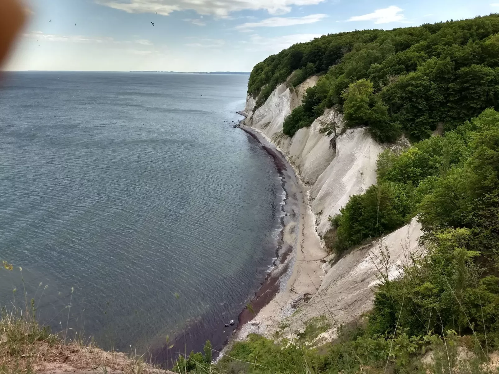 Schmetterling-Drinnen
