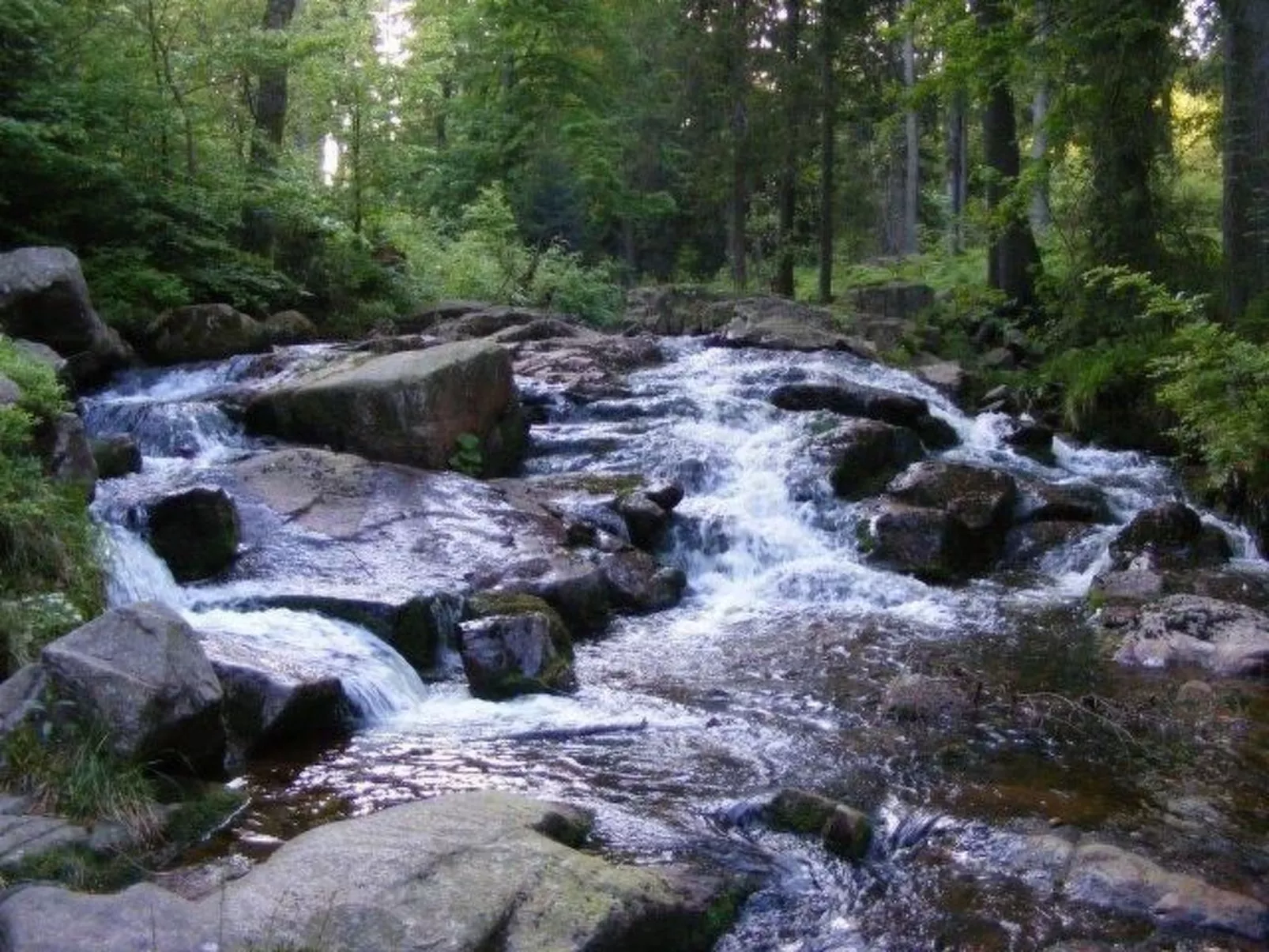 Gemütliche Ferienwohnung für die ganze Familie-Outside