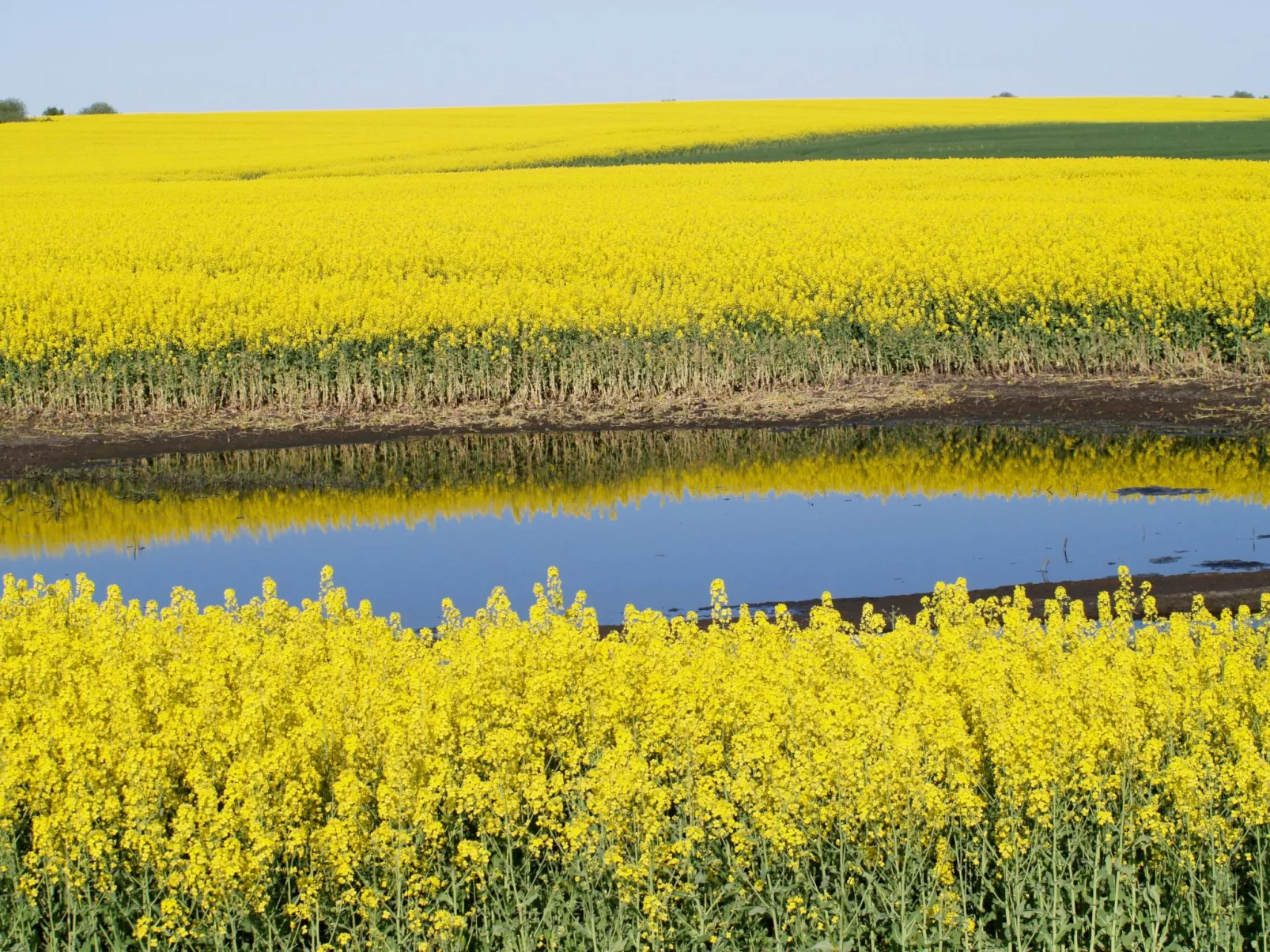In idylischer Lage-Dedans