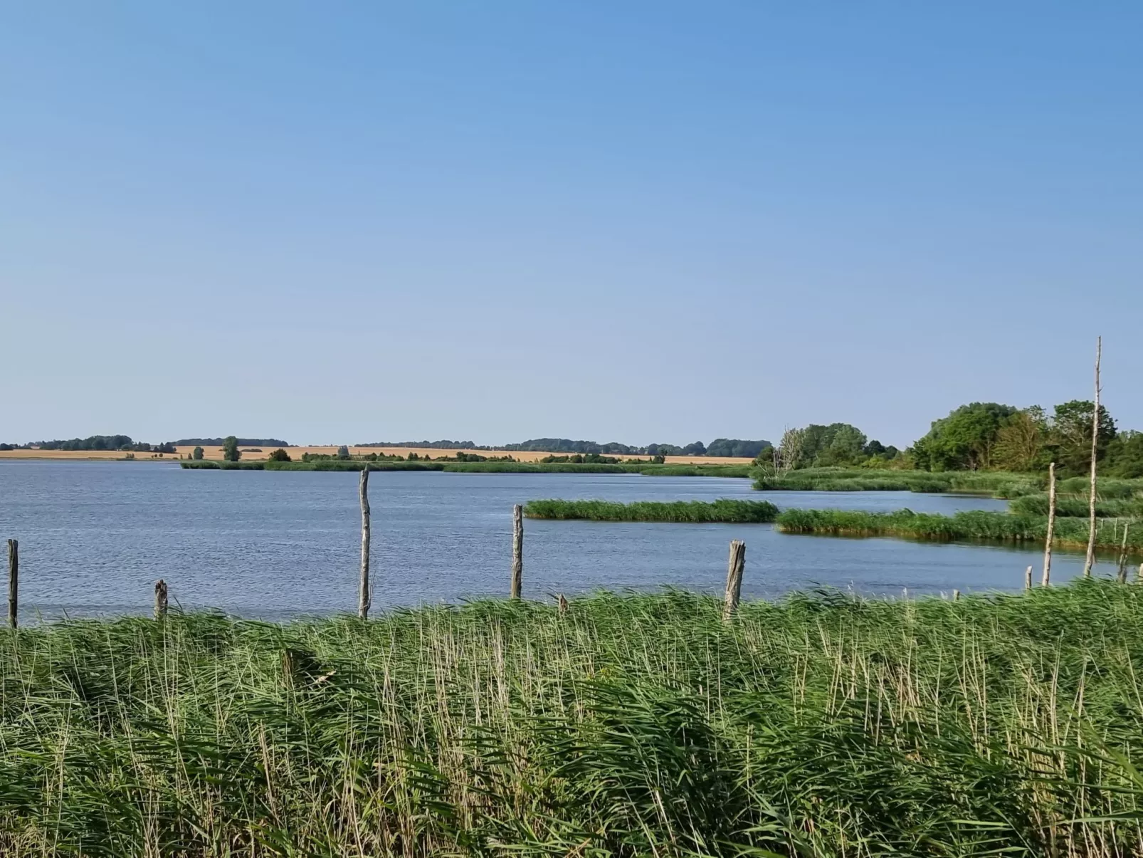 Reethaus Edith-Outside