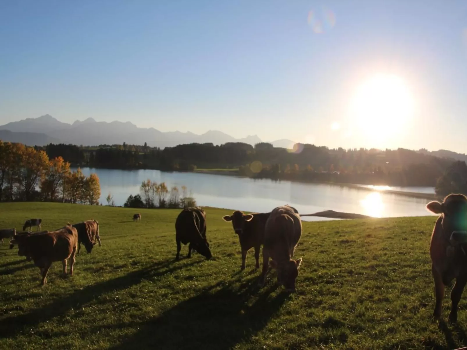 Mit Blick auf das Wasser-Outside