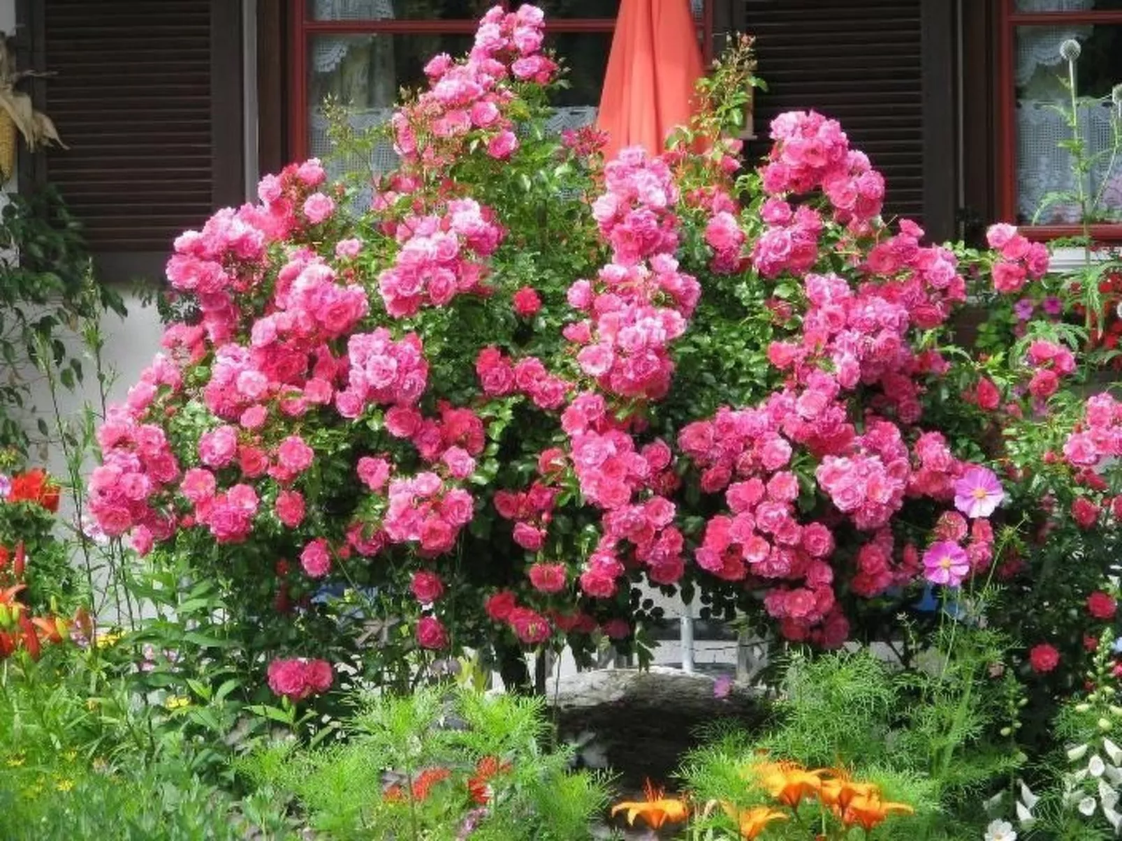 Studio barrierefrei - Draußen