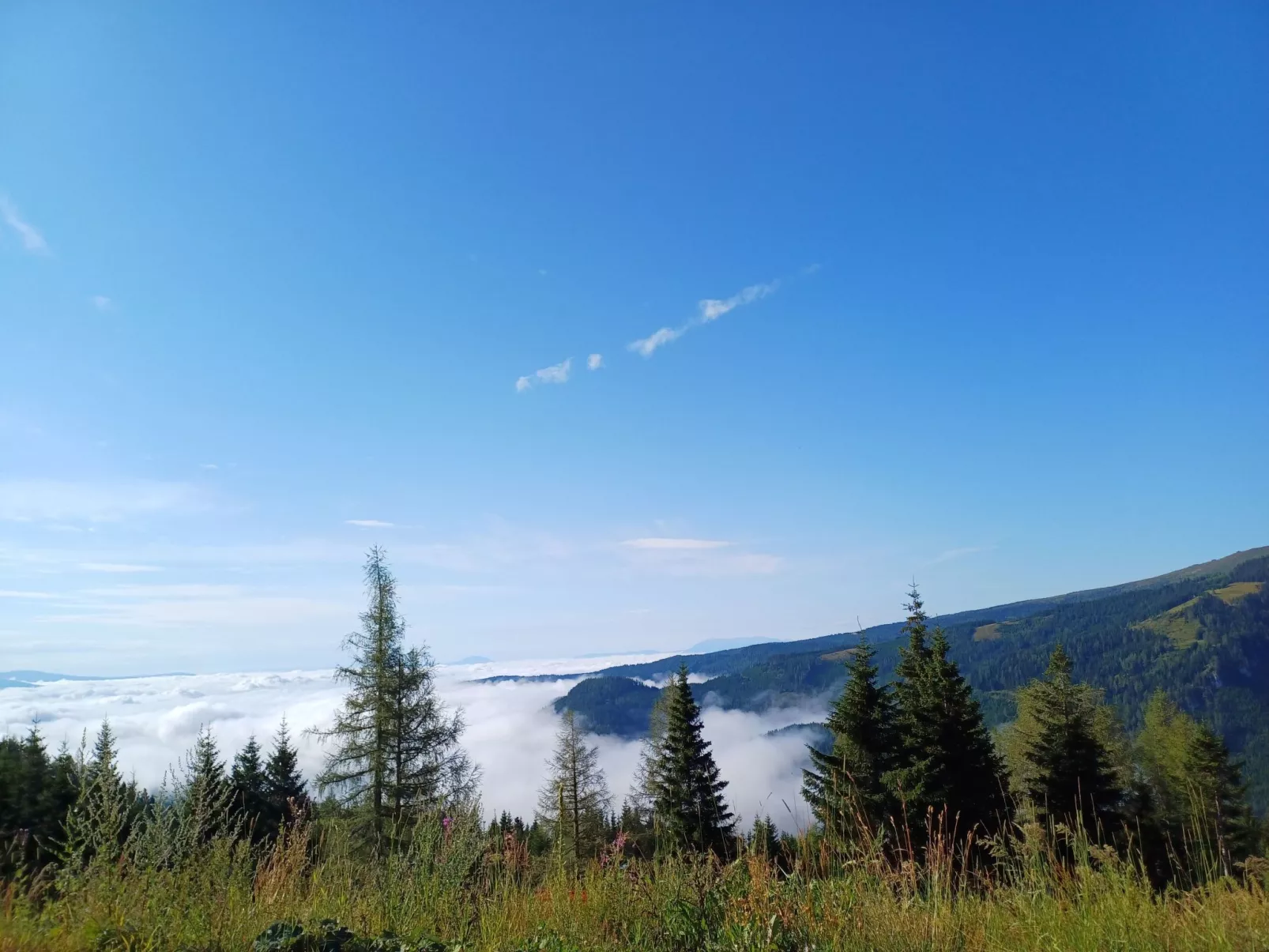 Gemütliche Almhütte direkt im Skigebiet-Inside