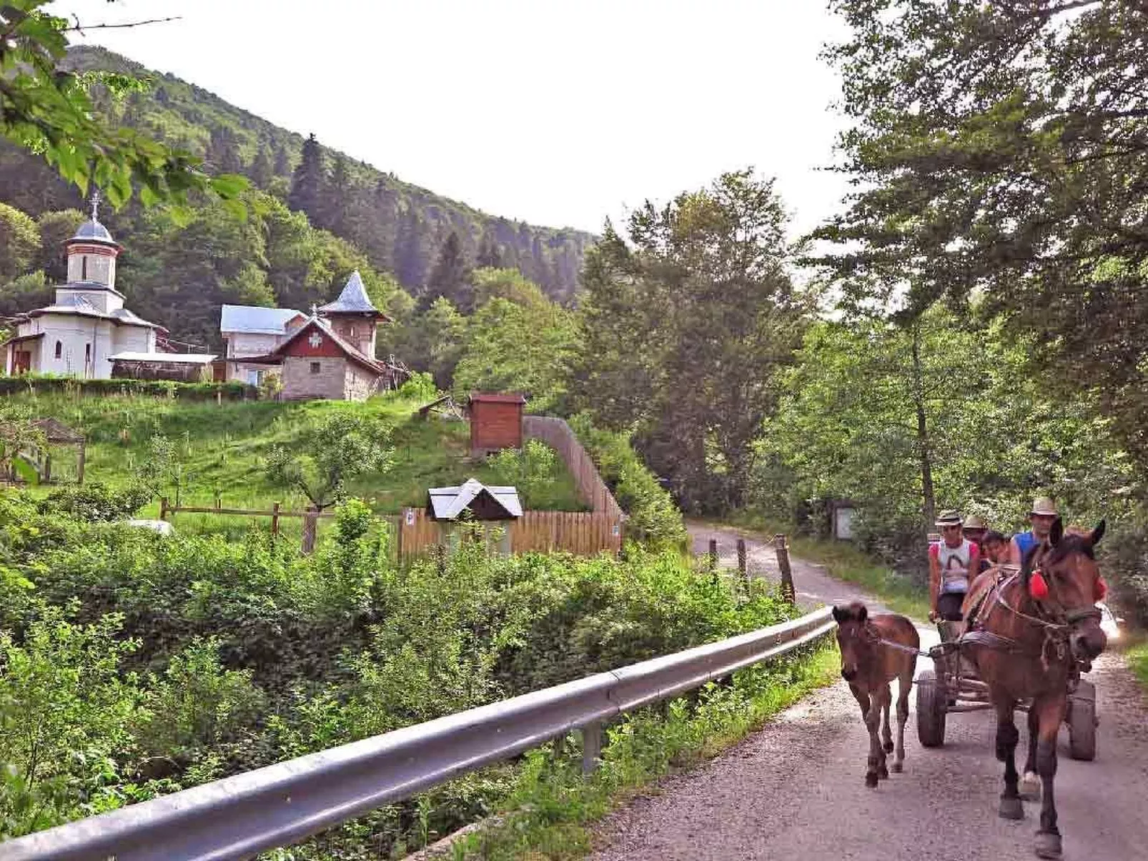 Casa Nicu - traditionelles Landhaus in Hirtendorf-Draußen