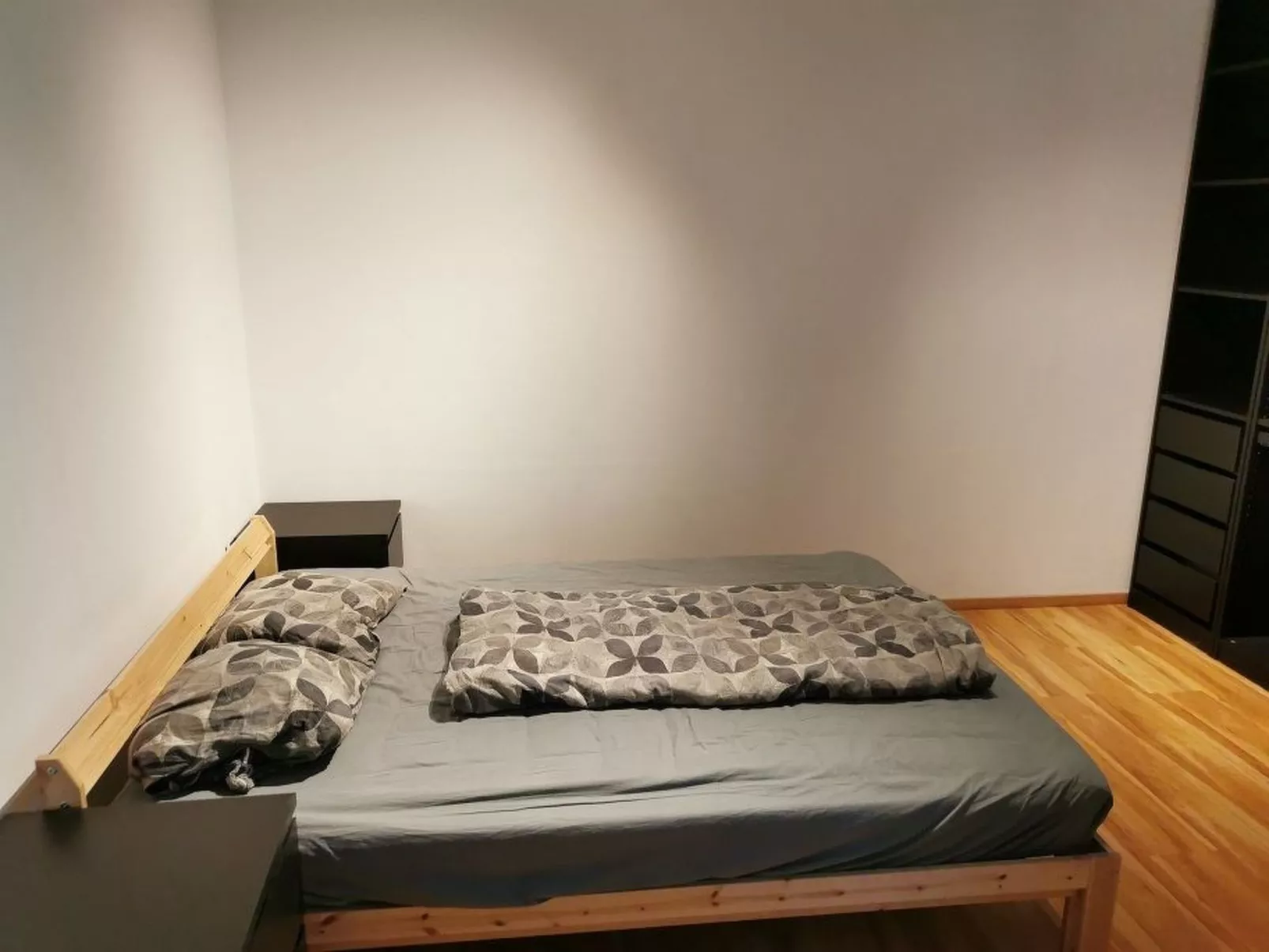 Graz Green Studio-Image-tags.info