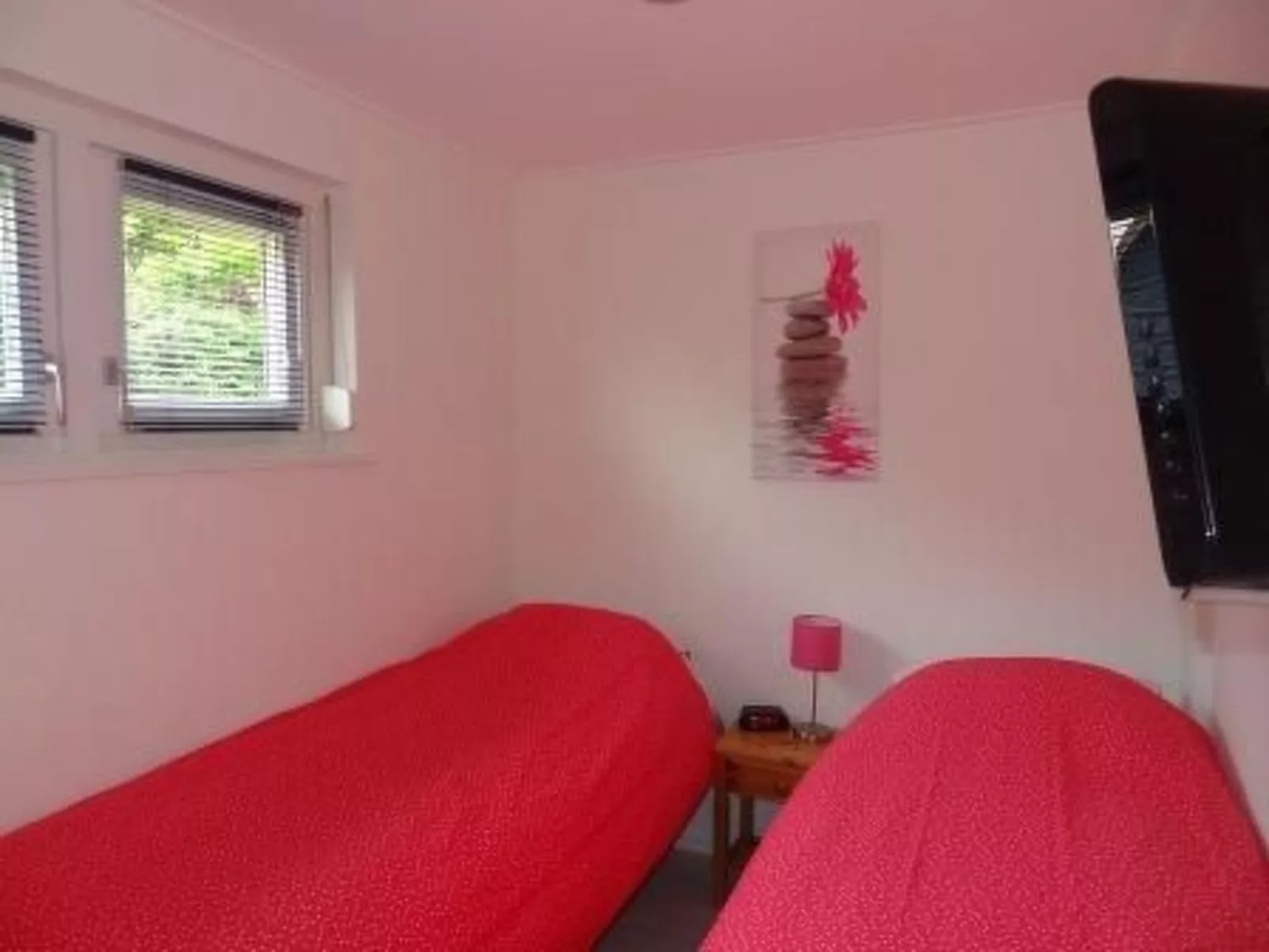 "Der Austernfischer"-Image-tags.info